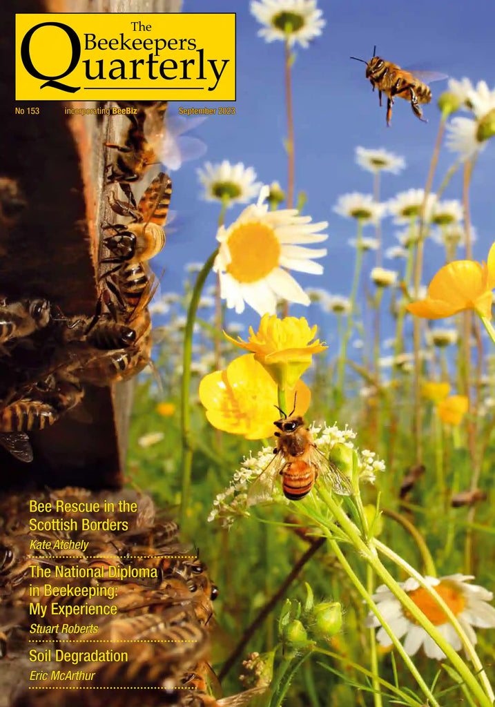 153 – September 2023