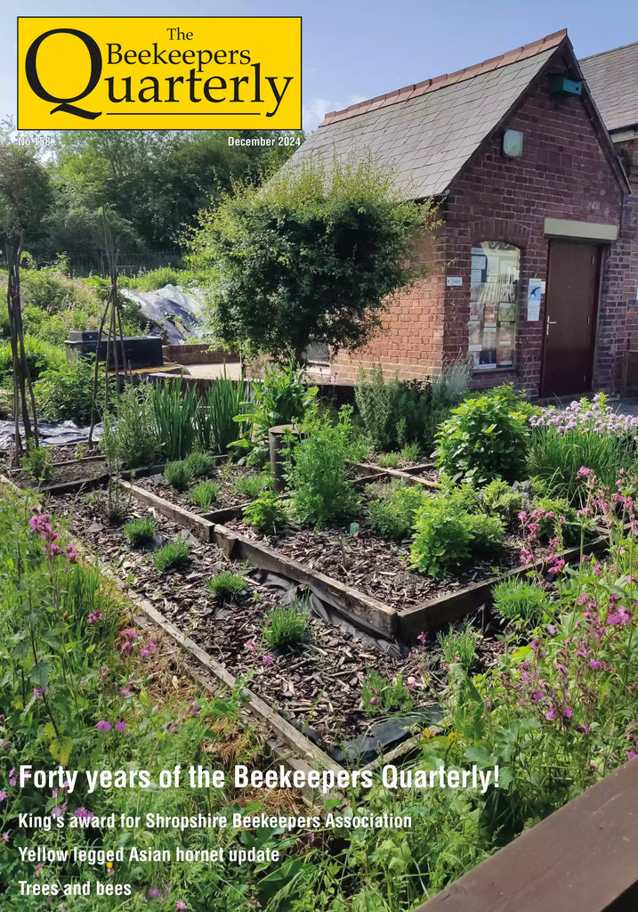 158 – December 2024