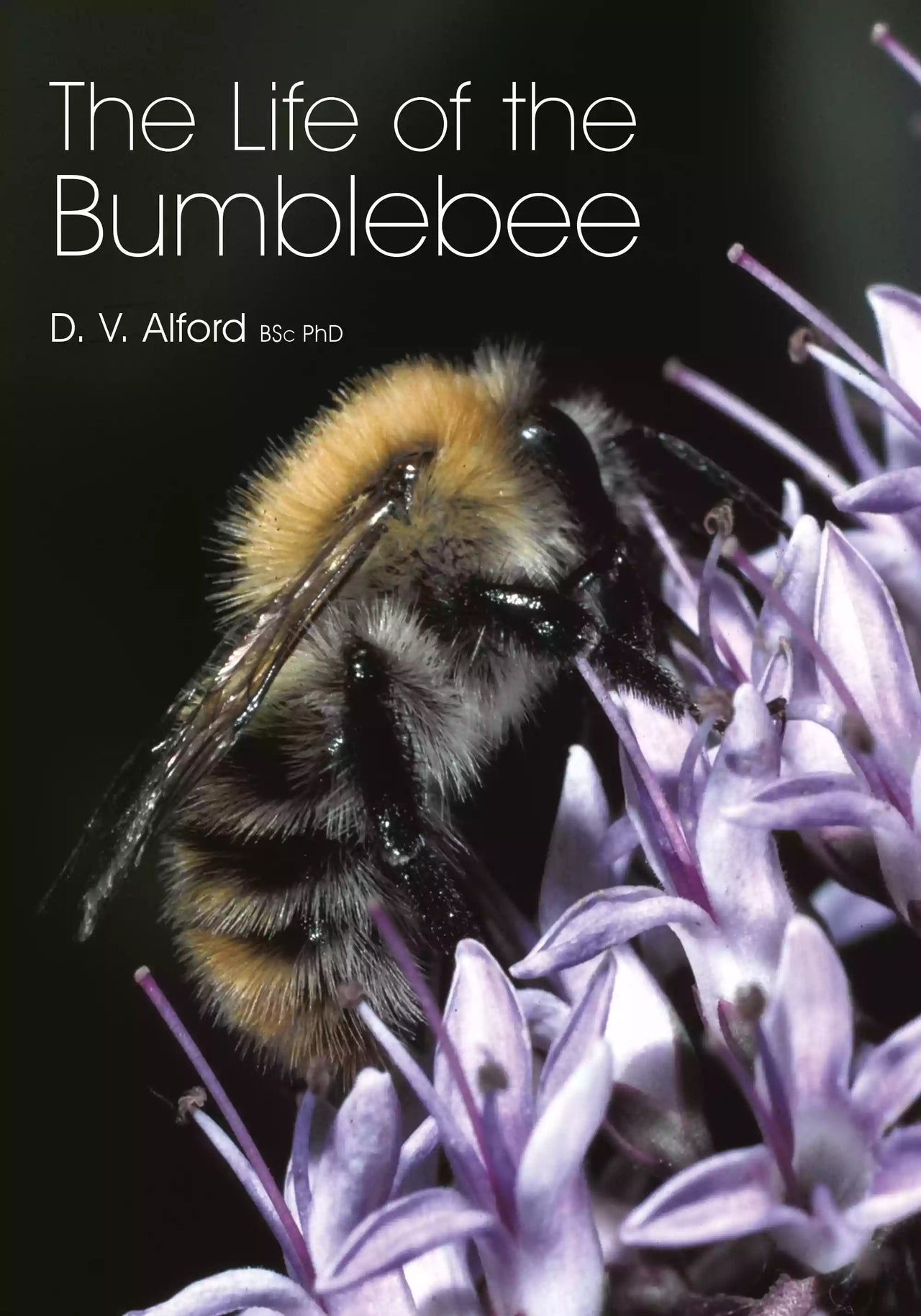 The Life of the Bumblebee by David V. Alford