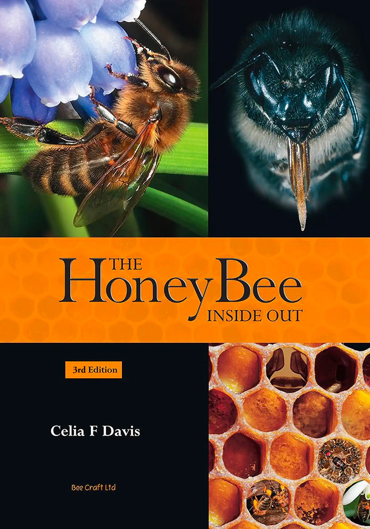 The Honey Bee Inside Out by Celia Davis
