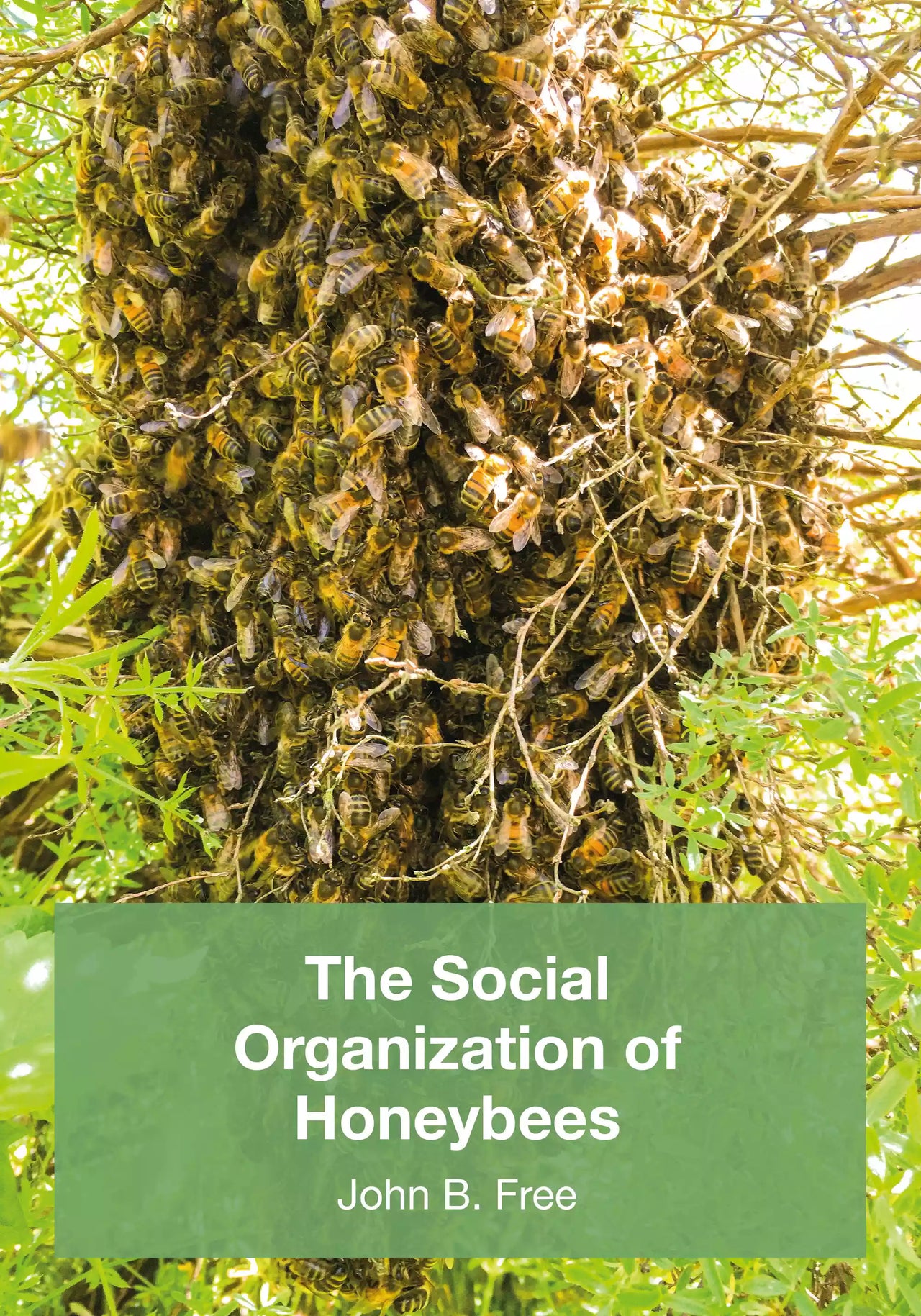 The Social Organisation of Honeybees by John B. Free