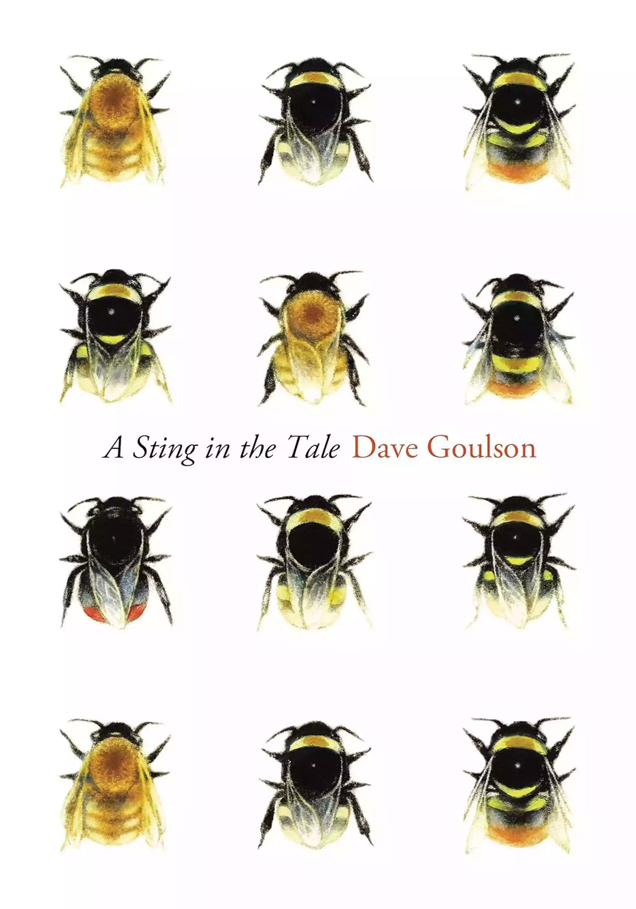 A Sting in the Tail by Dave Goulson