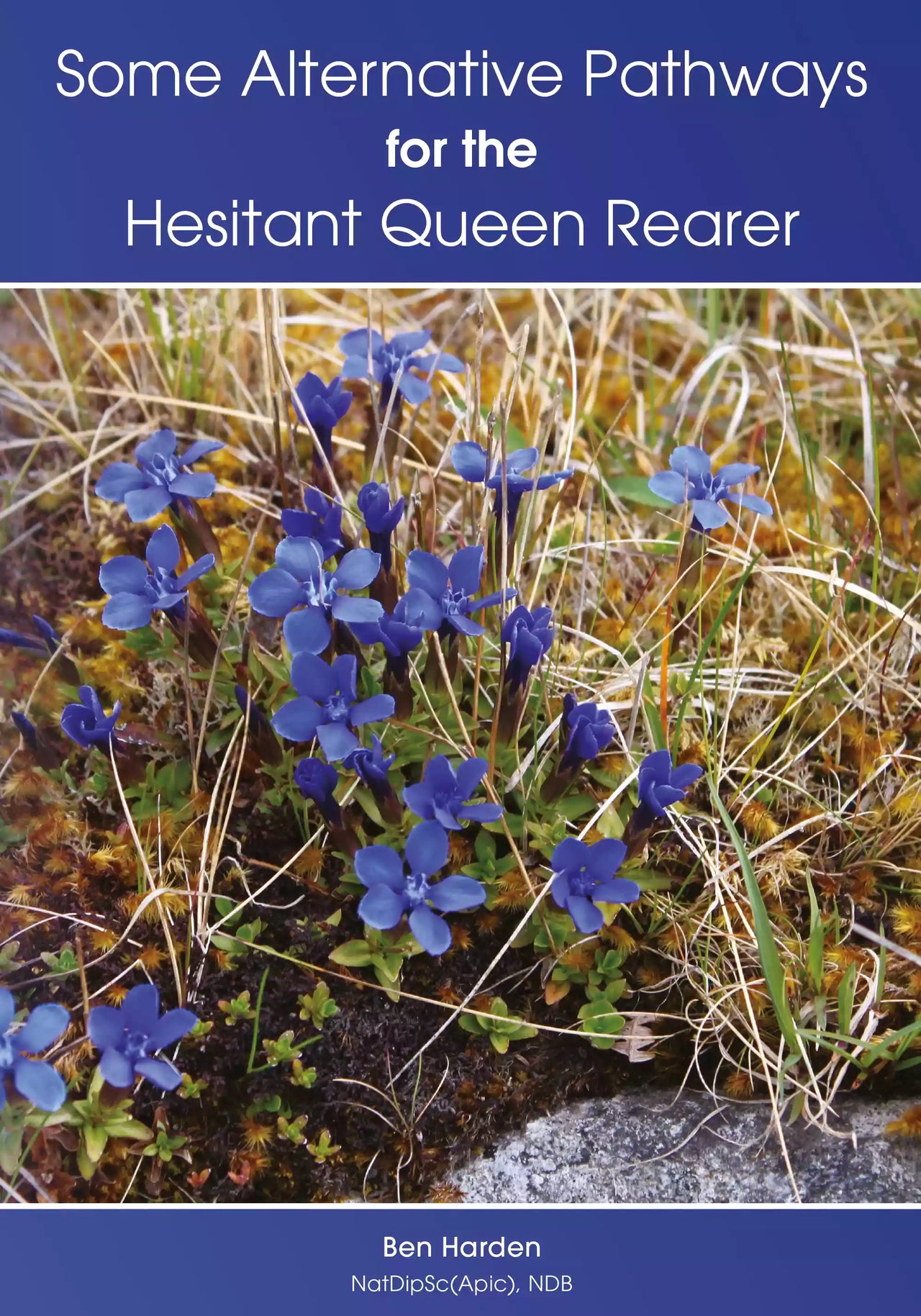 Some Alternative Pathways for the Hesitant Queen Rearer by Ben Harden