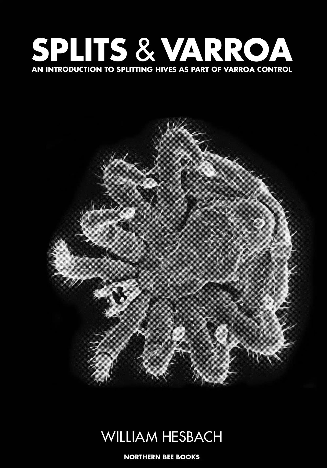 Splits and Varroa by William Hesbach