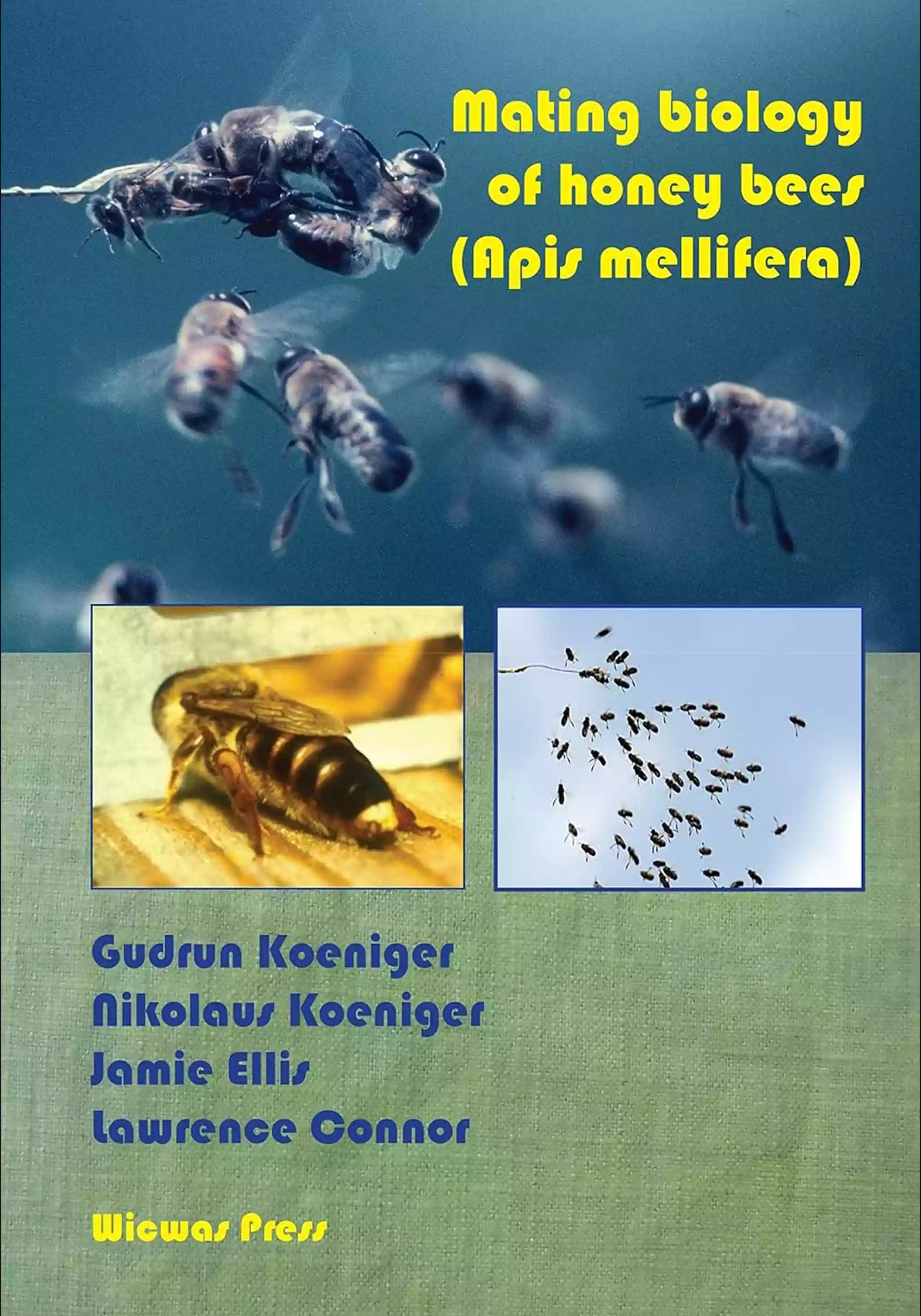 Mating Biology of Honey Bees (Apis mellifera) by Gudrun Koeniger, Nikolaus Koeniger, Jamie Ellis & Lawrence Connor