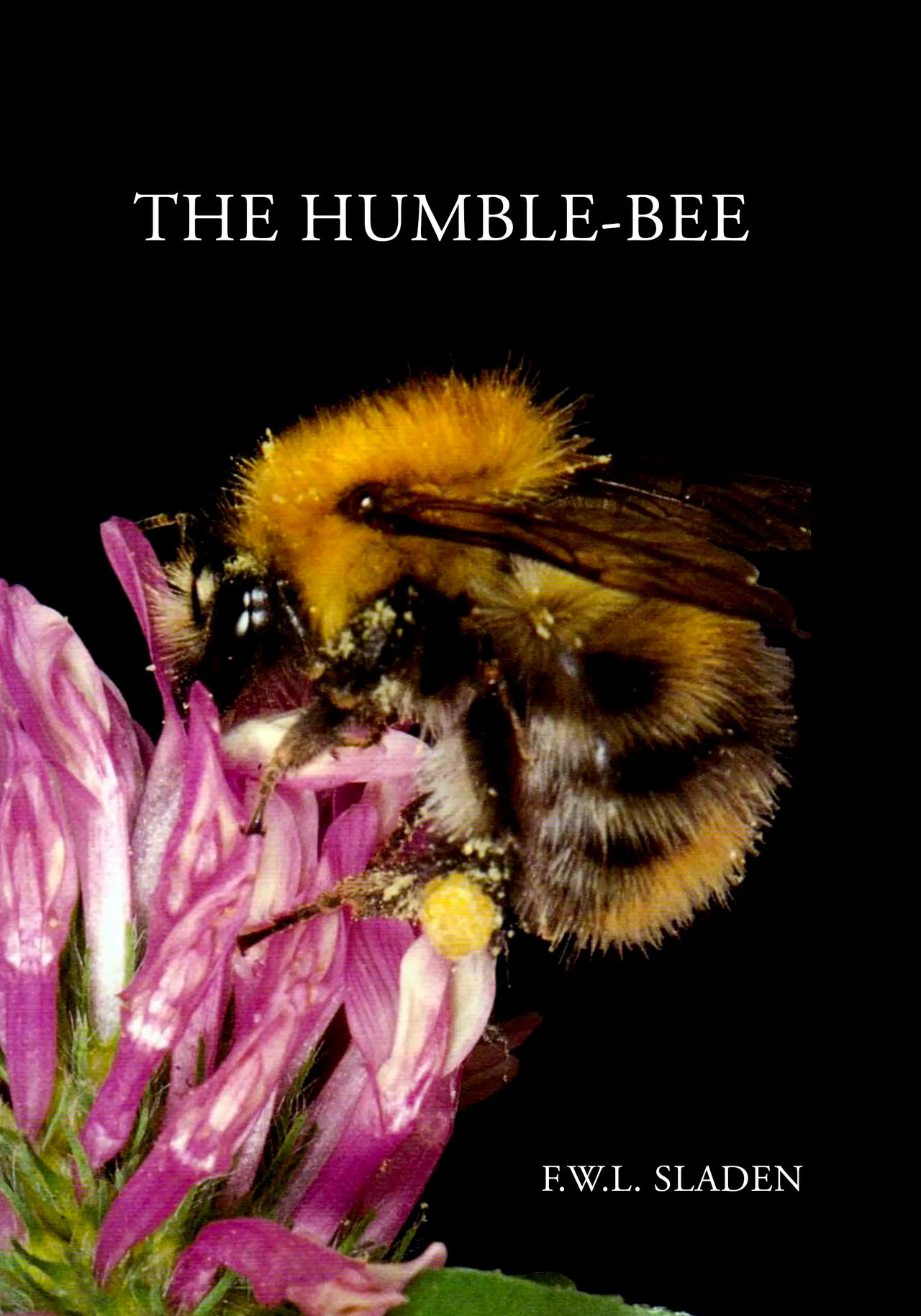 The Humble Bee by F.W.L. Sladen