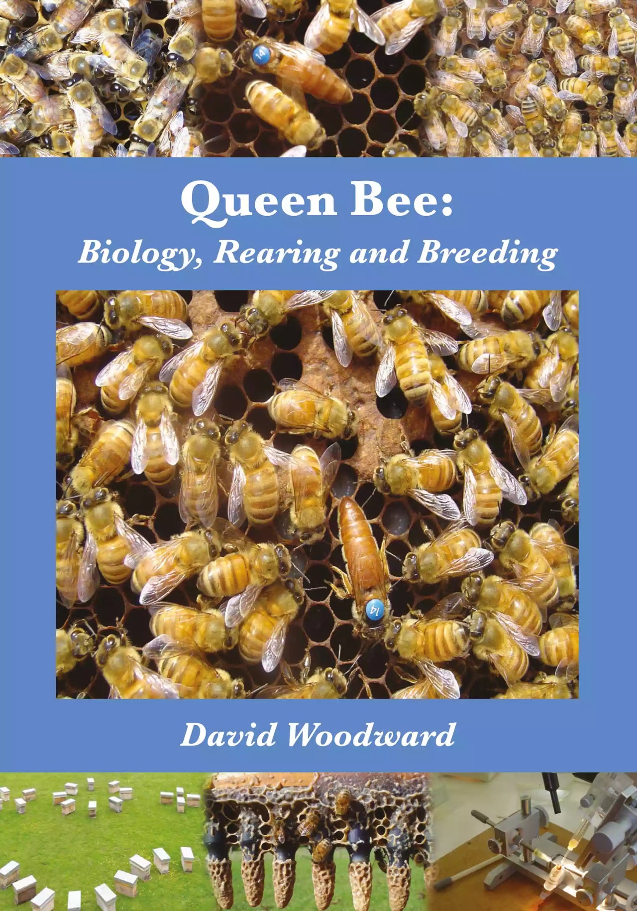 Queen Bee: Biology, Rearing and Breeding by David Woodward