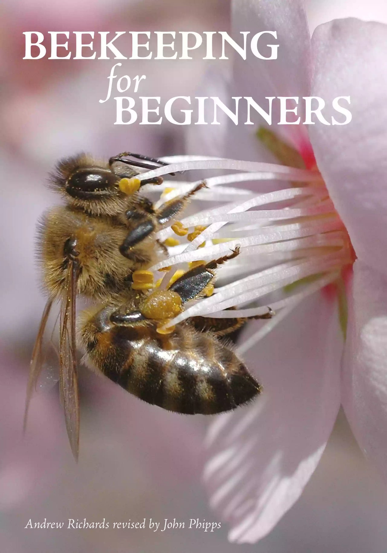 Beekeeping for Beginners by Andrew Richards