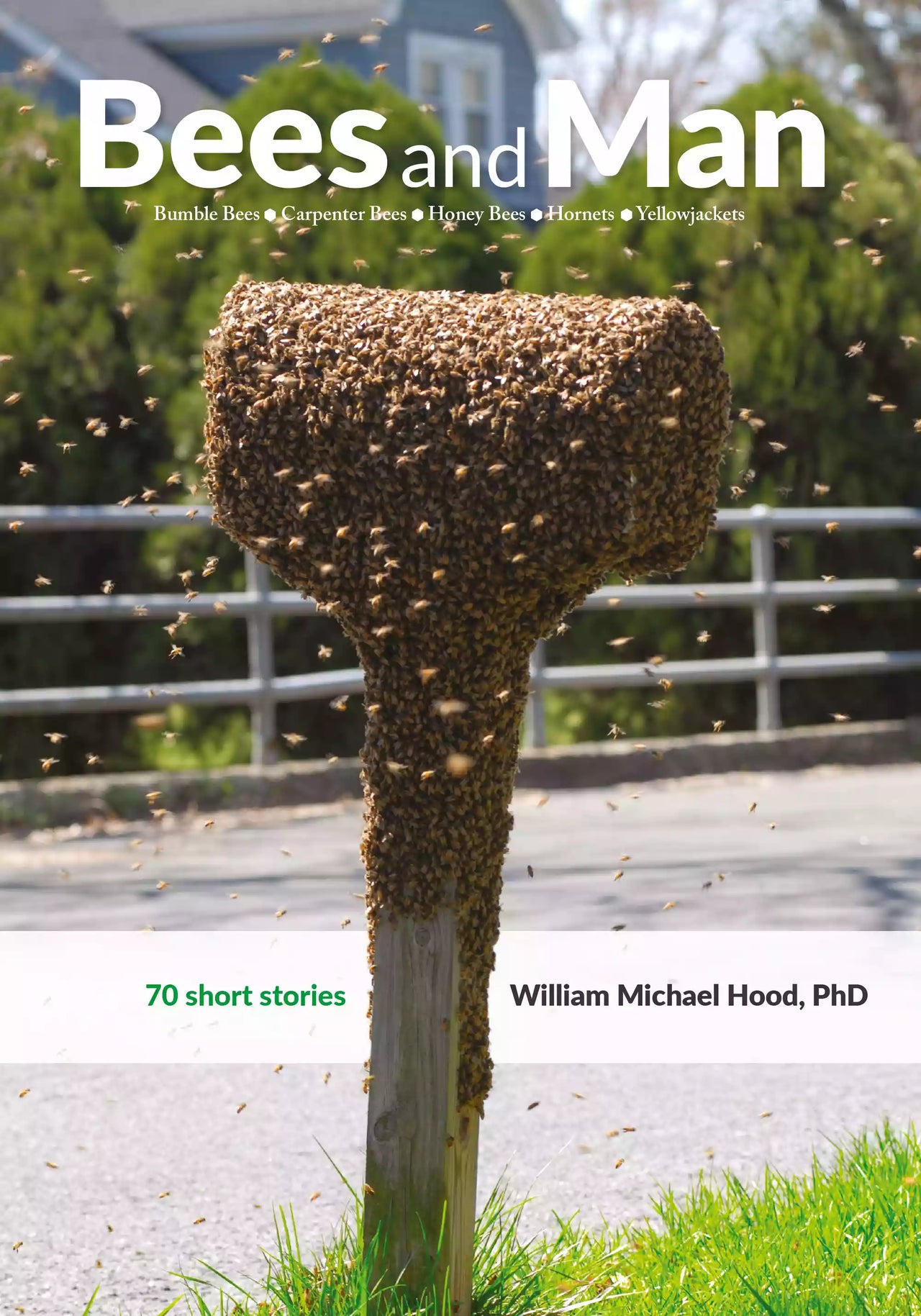 Bees and Man by William Michael Hood