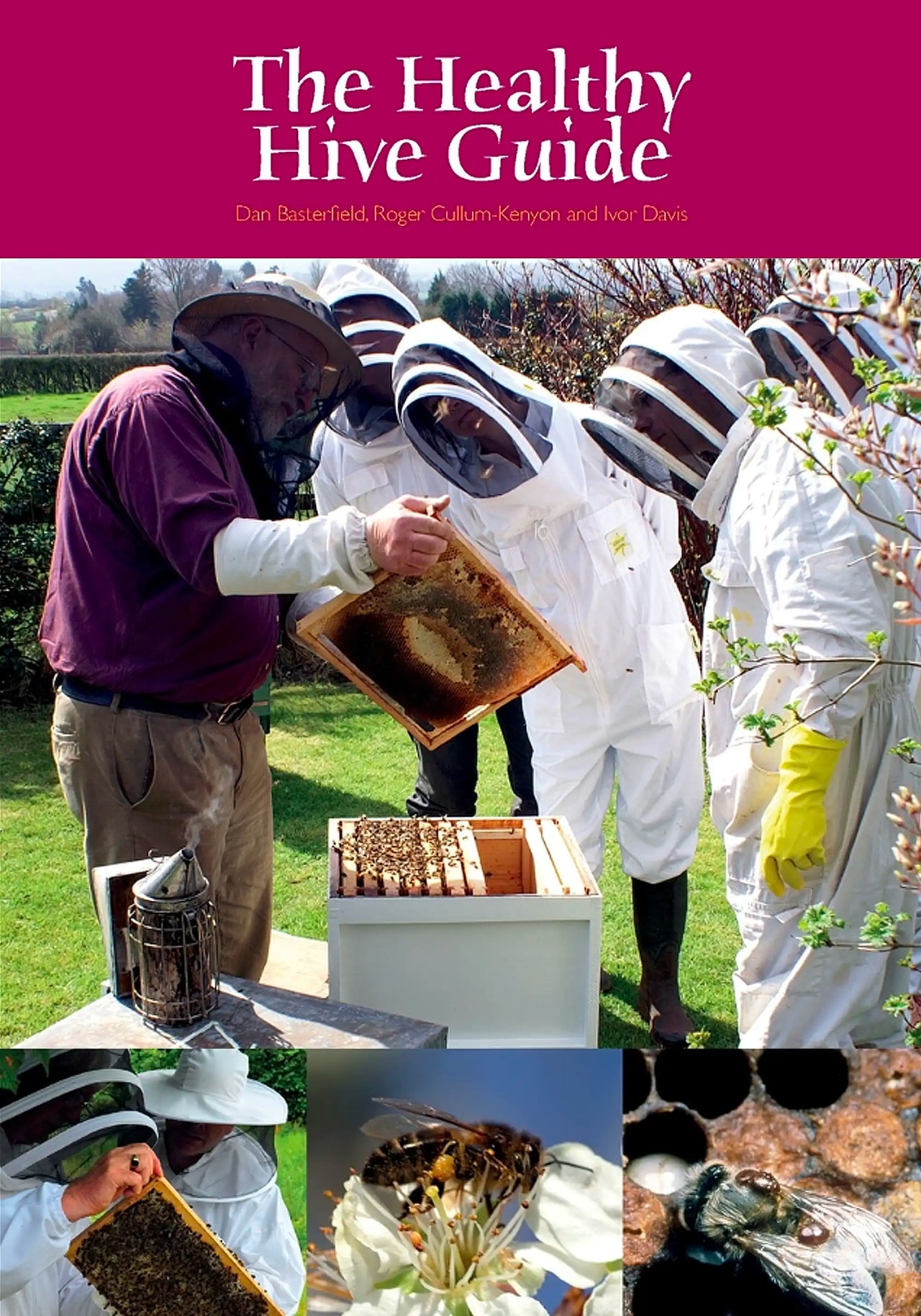 The Healthy Hive Guide by Daniel Basterfield (Et al.)