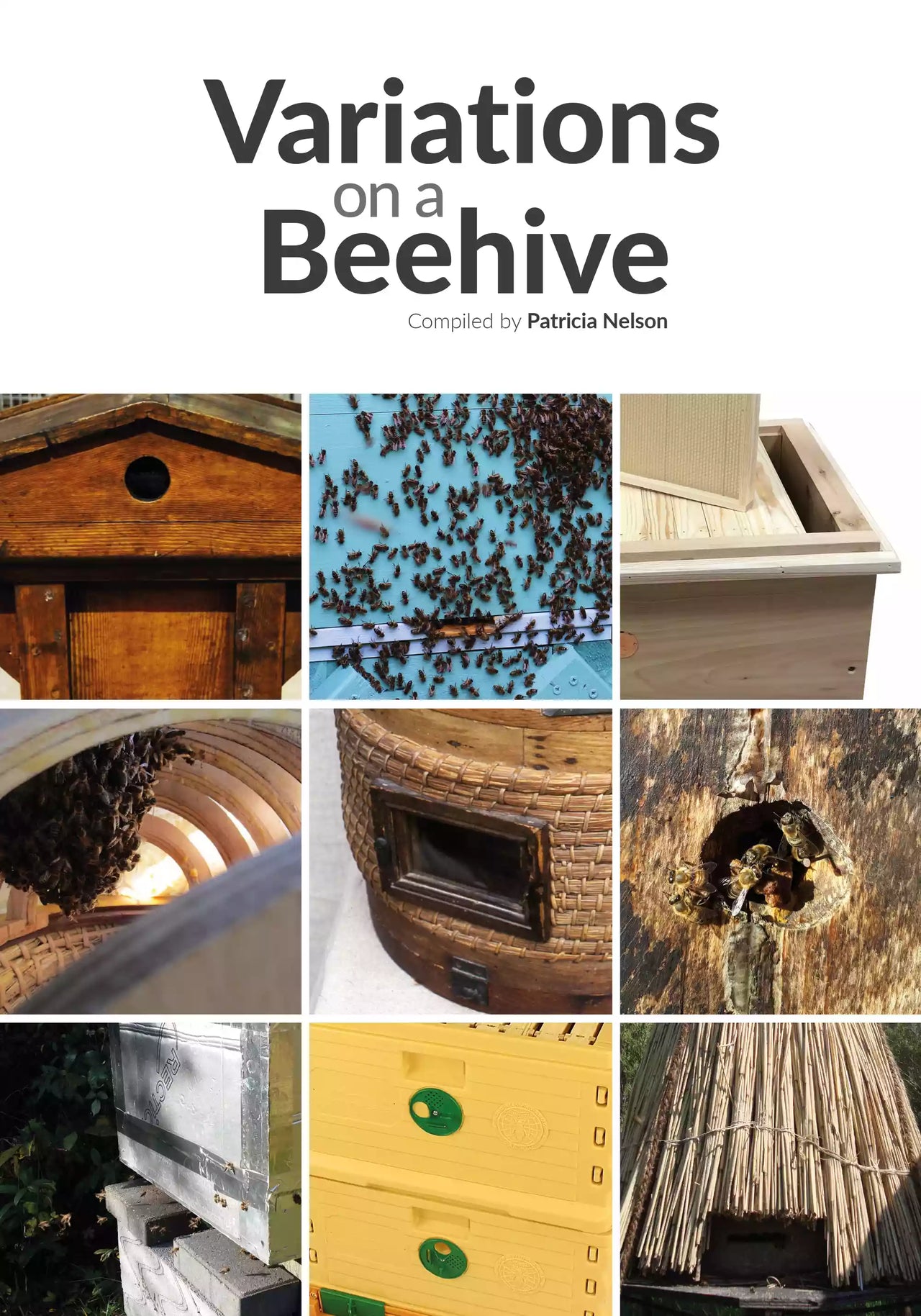 Variations on a Beehive by Patricia Nelson