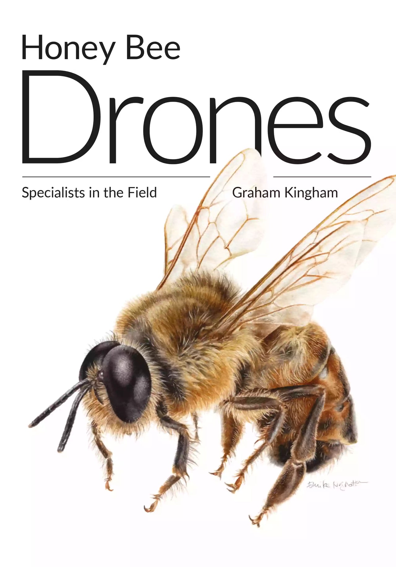 Honey Bee Drones by Graham Kingham