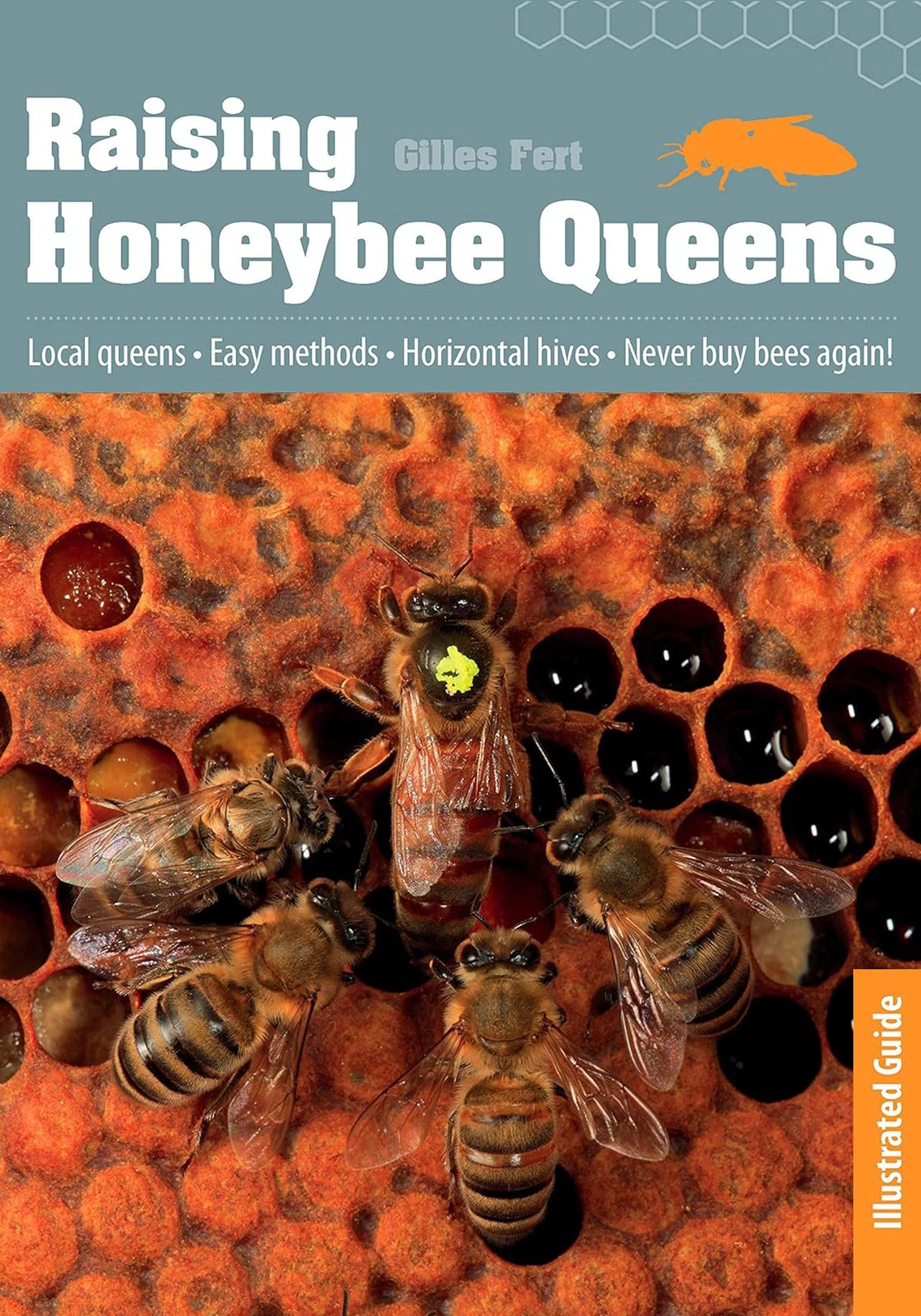 Raising Honeybee Queens by Gilles Fert