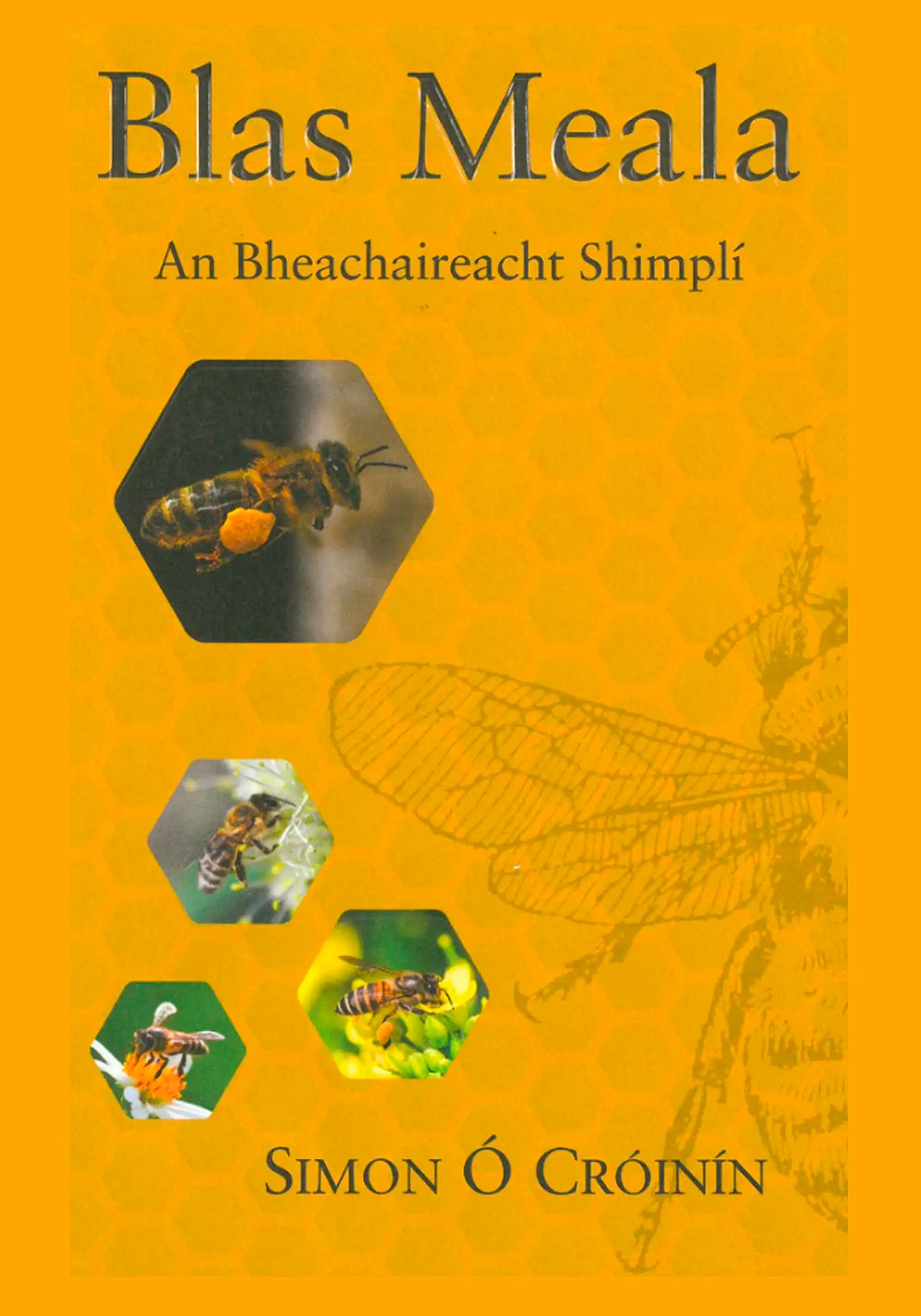 Blas Meala by Simon Ó Cróinín