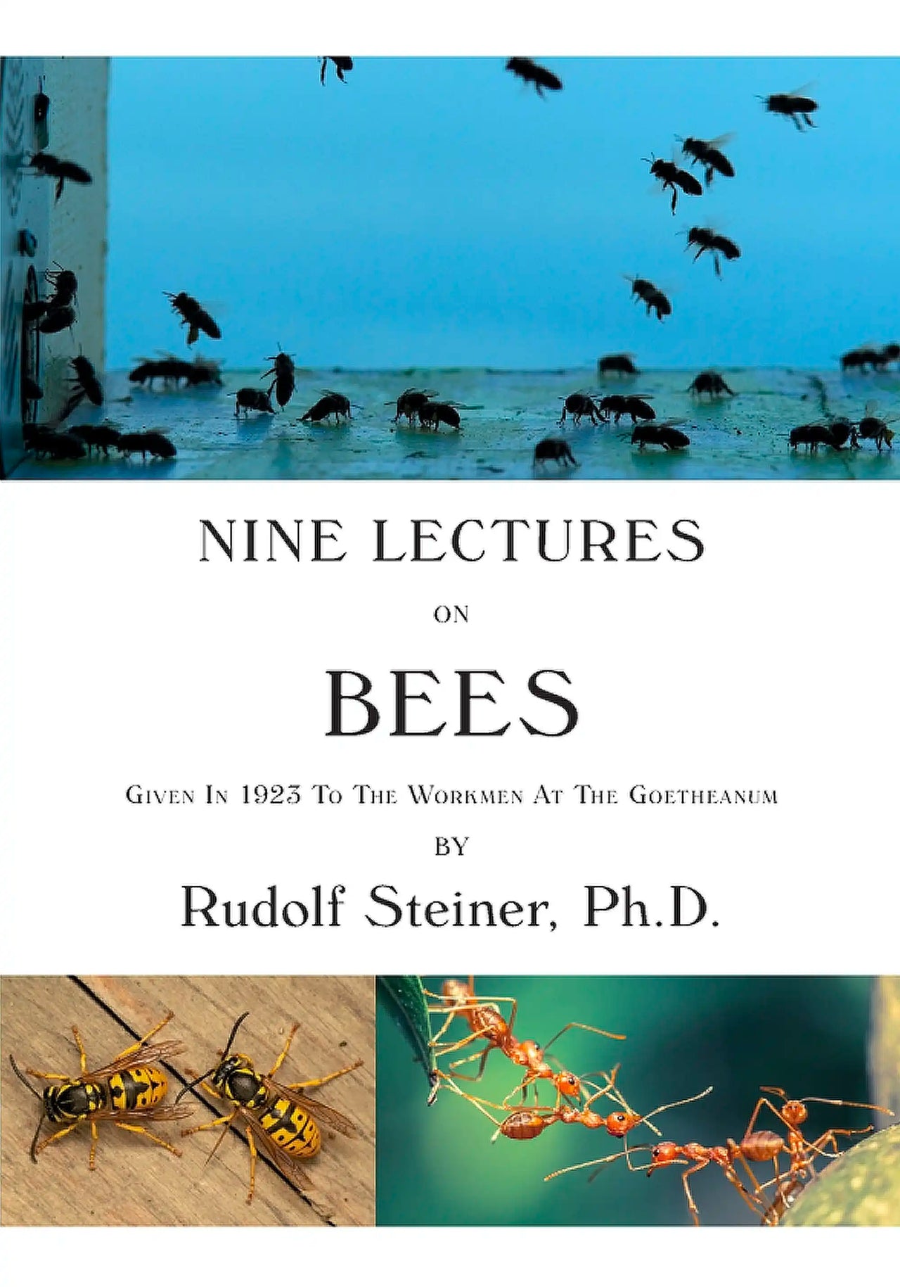 Nine Lectures on Bees by Rudolf Steiner