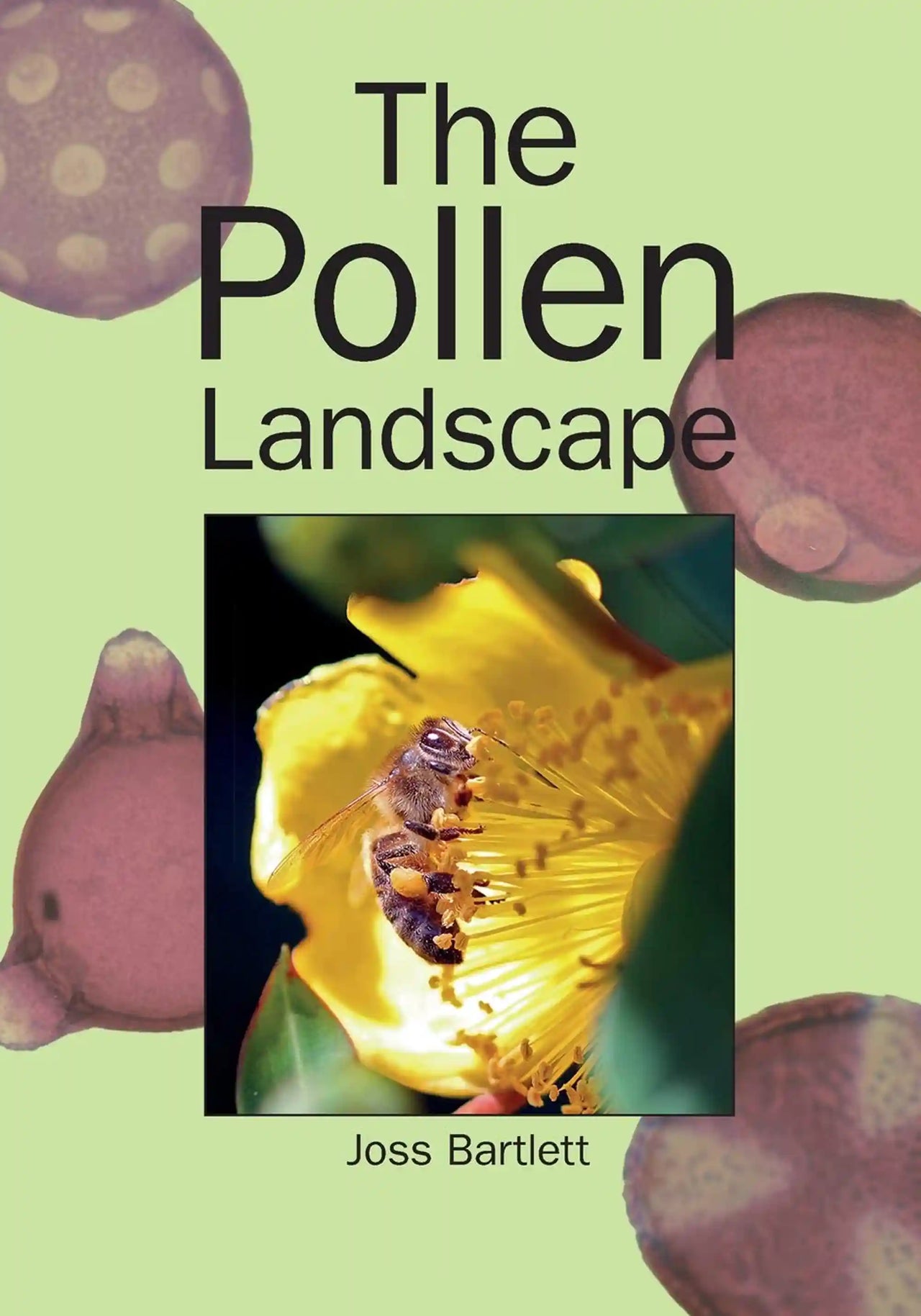 The Pollen Landscape by Joss Bartlet