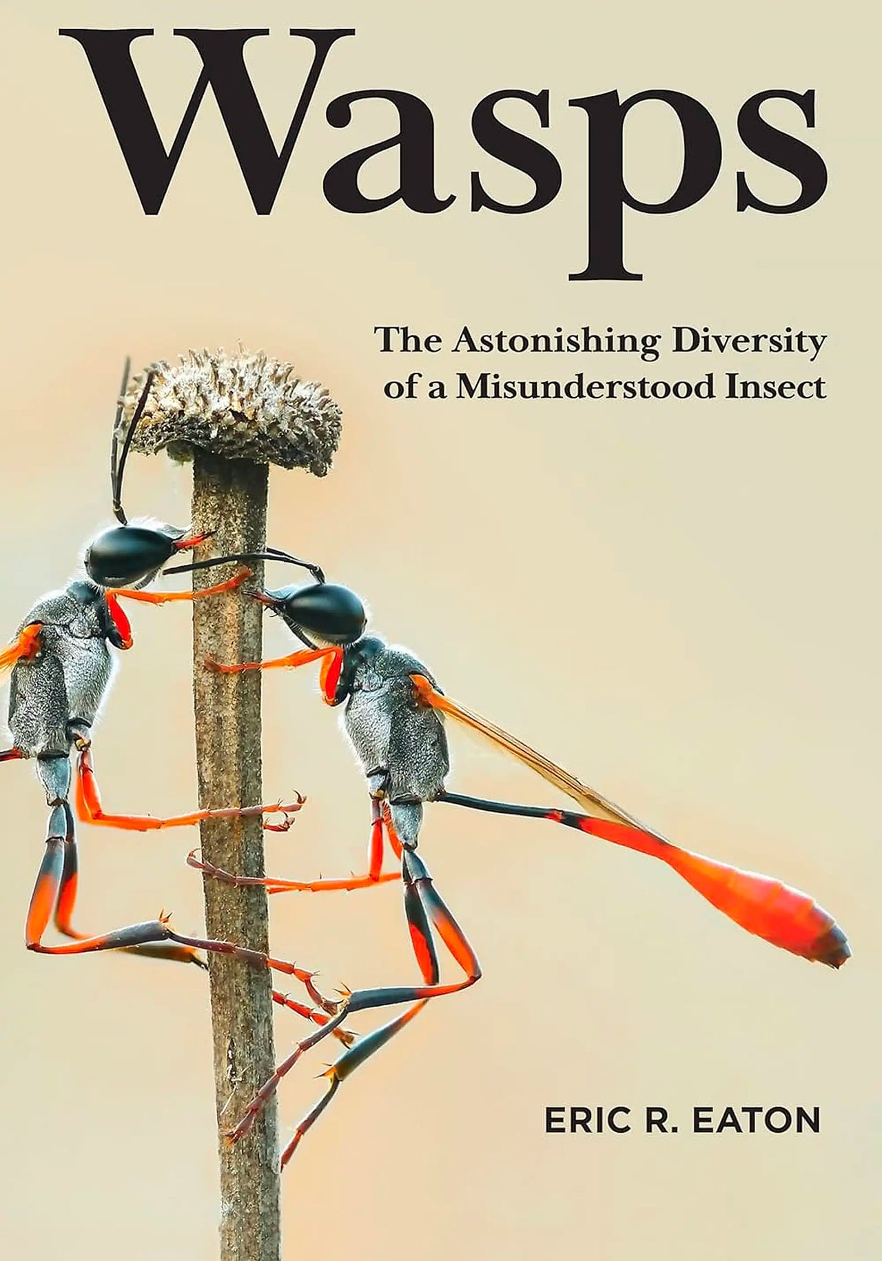 Wasps: The Astonishing Diversity of a Misunderstood Insect by Eric R. Eaton