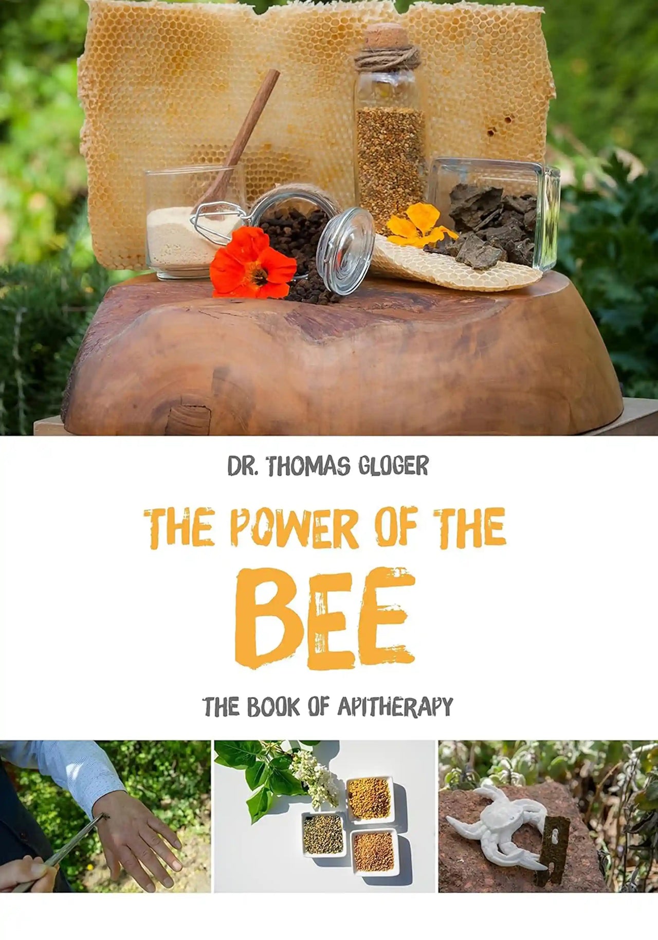 The Power of the Bee by Thomas Gloger