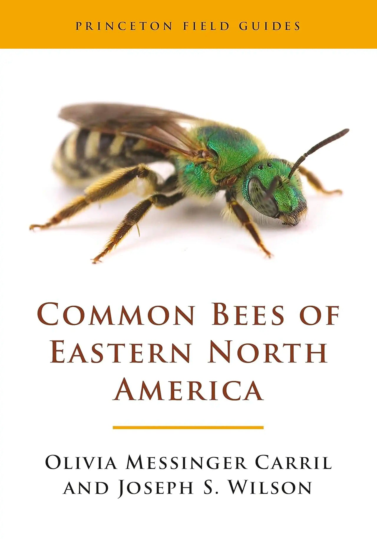 Common Bees of Eastern North America by Olivia Messinger Carril & Joseph S. Wilson