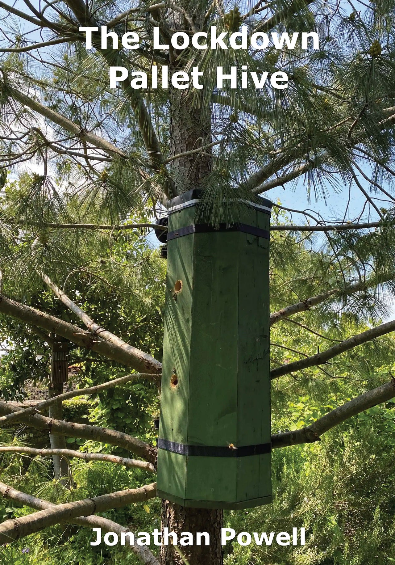 The Lockdown Pallet Hive by Jonathan Powell