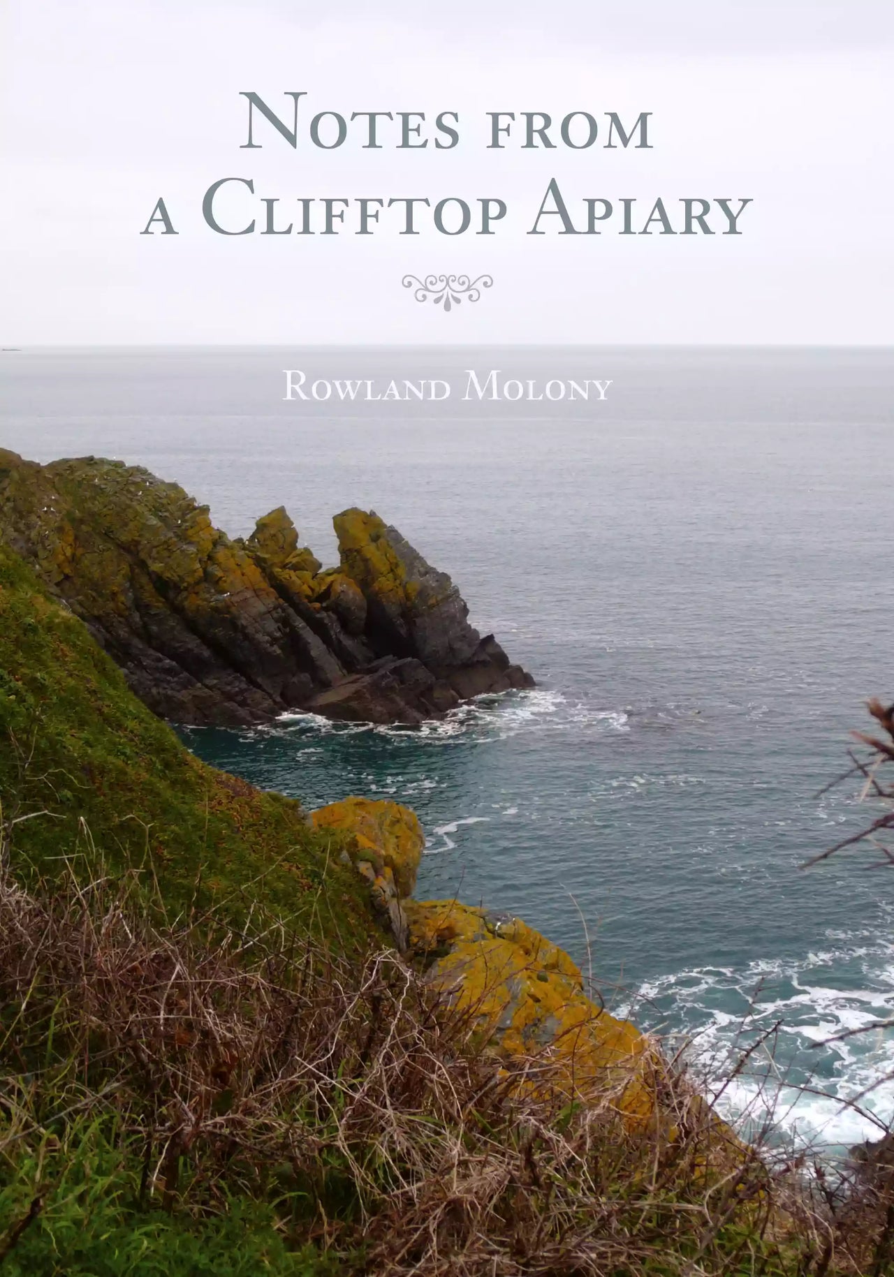 Notes from a Clifftop Apiary by Rowland Molony
