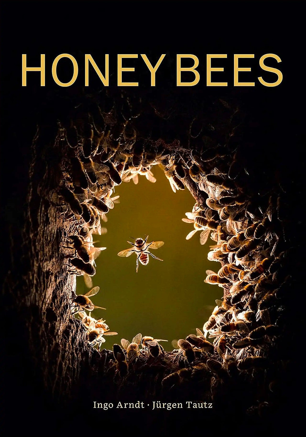 Honey Bees by Ingo Arndt & Jürgen Tautz