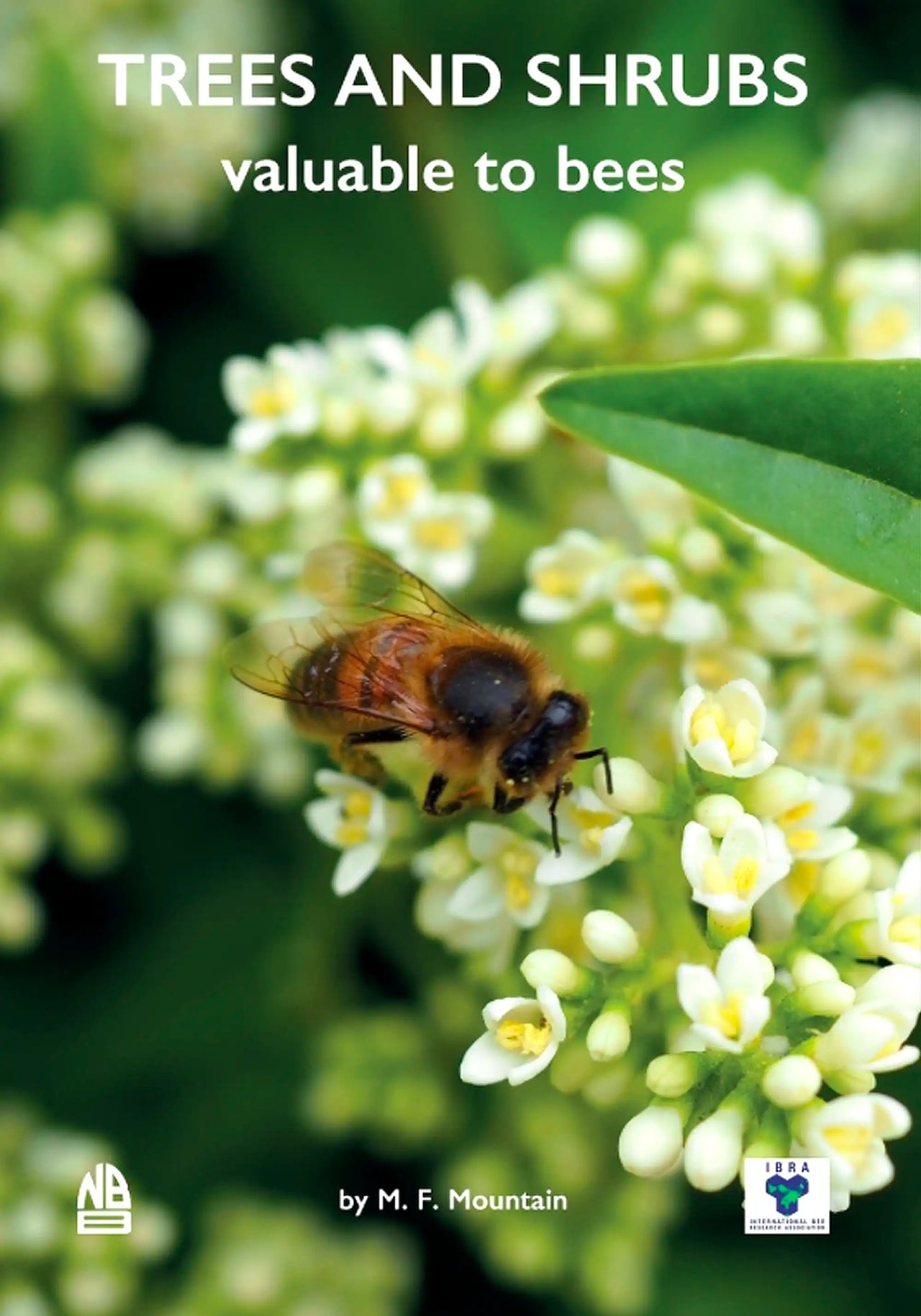 Trees and Shrubs Valuable to Bees by M.F. Mountain