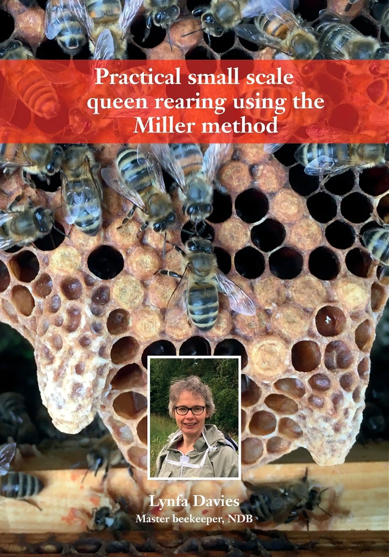 Practical Small Scale Queen Rearing Using the Miller Method by Lynfa Davies