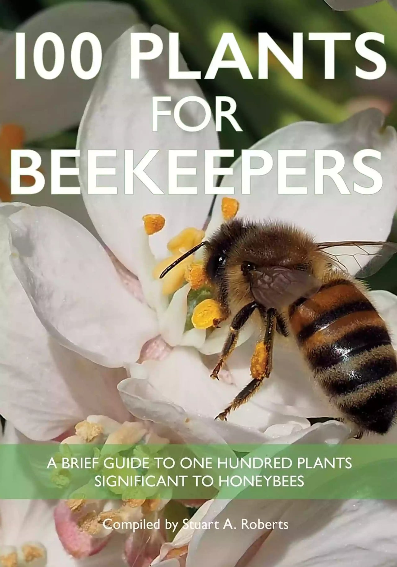 100 Plants for Beekeepers by Stuart Roberts