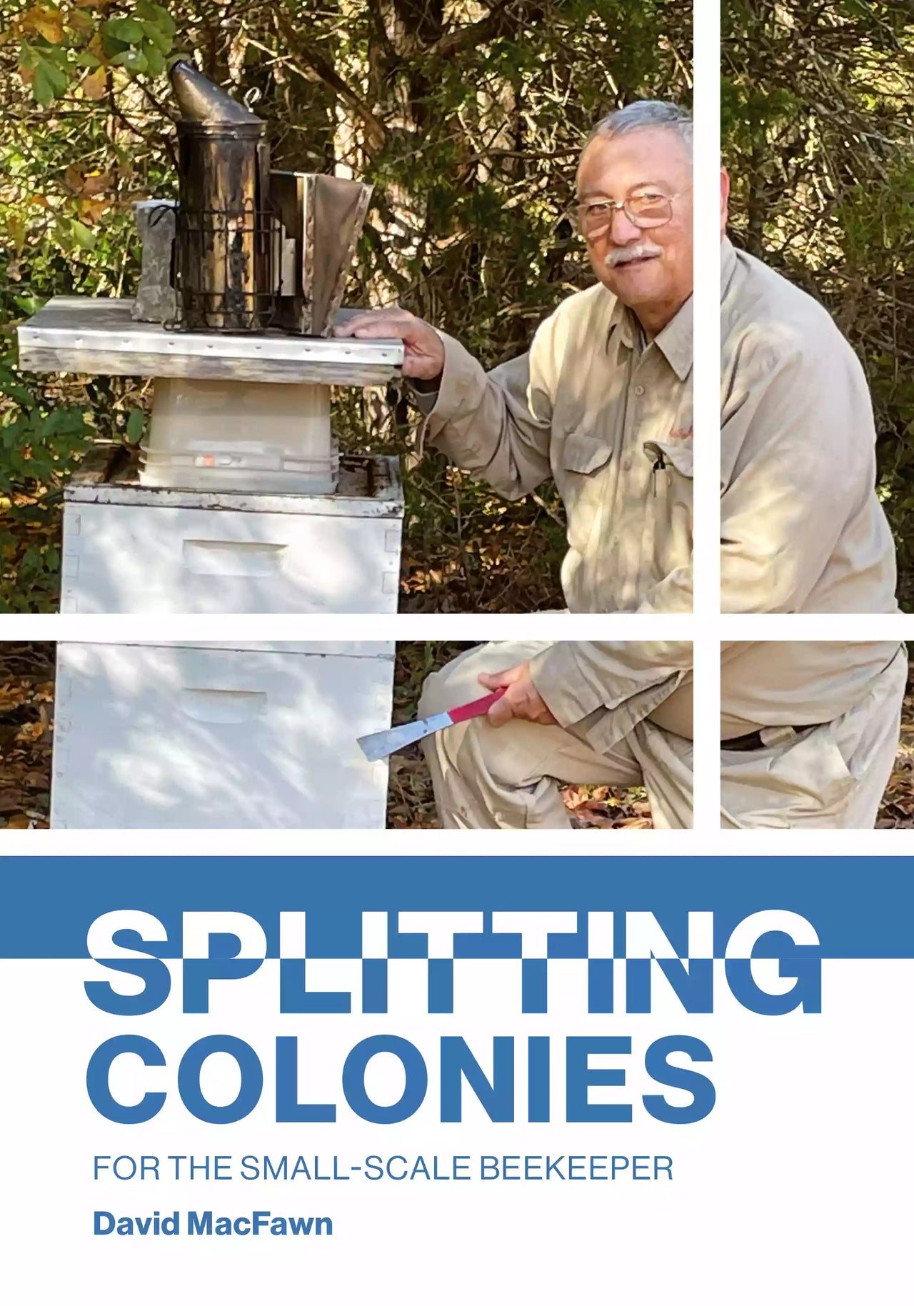 Splitting Colonies by David MacFawn