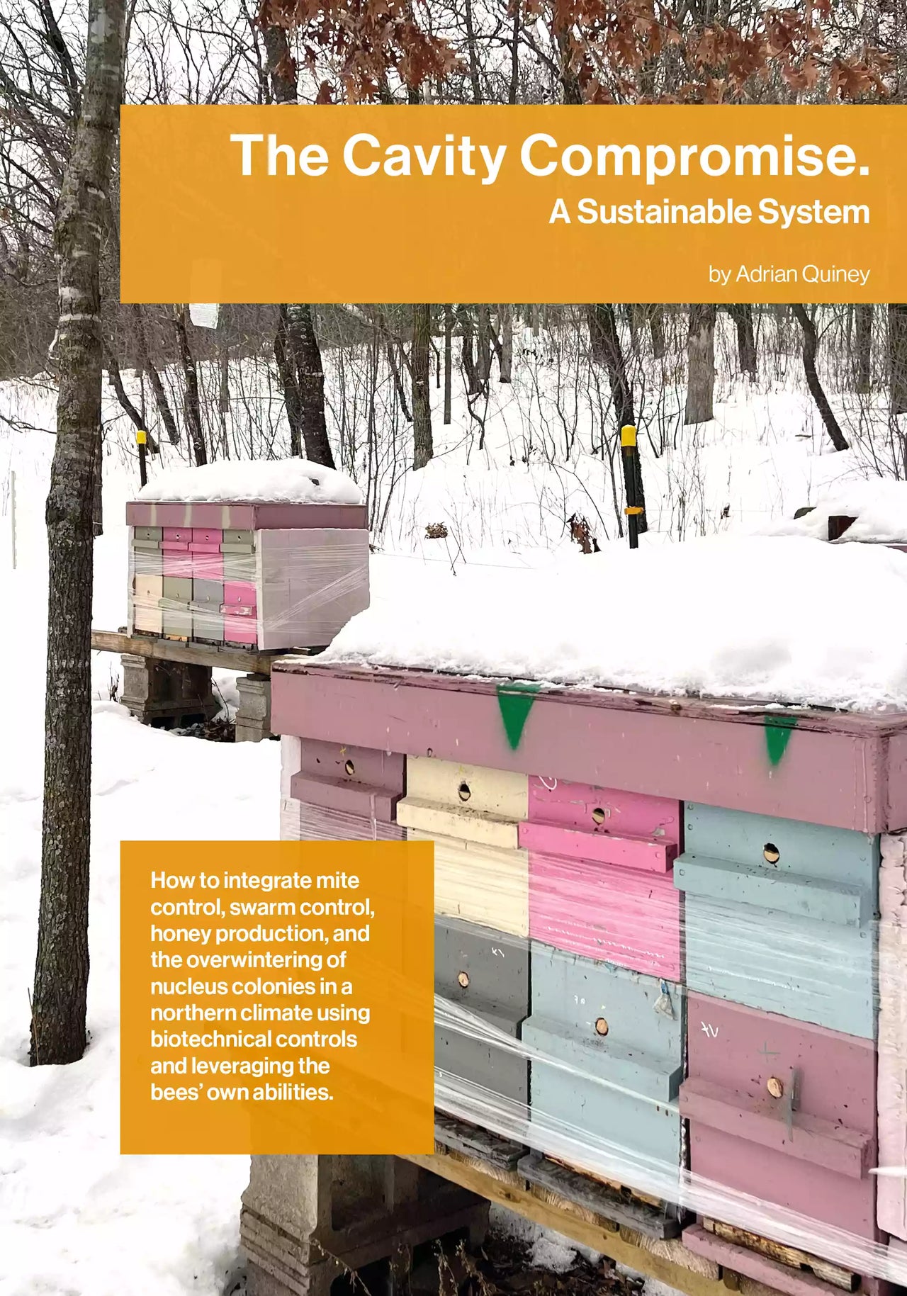 The Cavity Compromise by Adrian Quiney