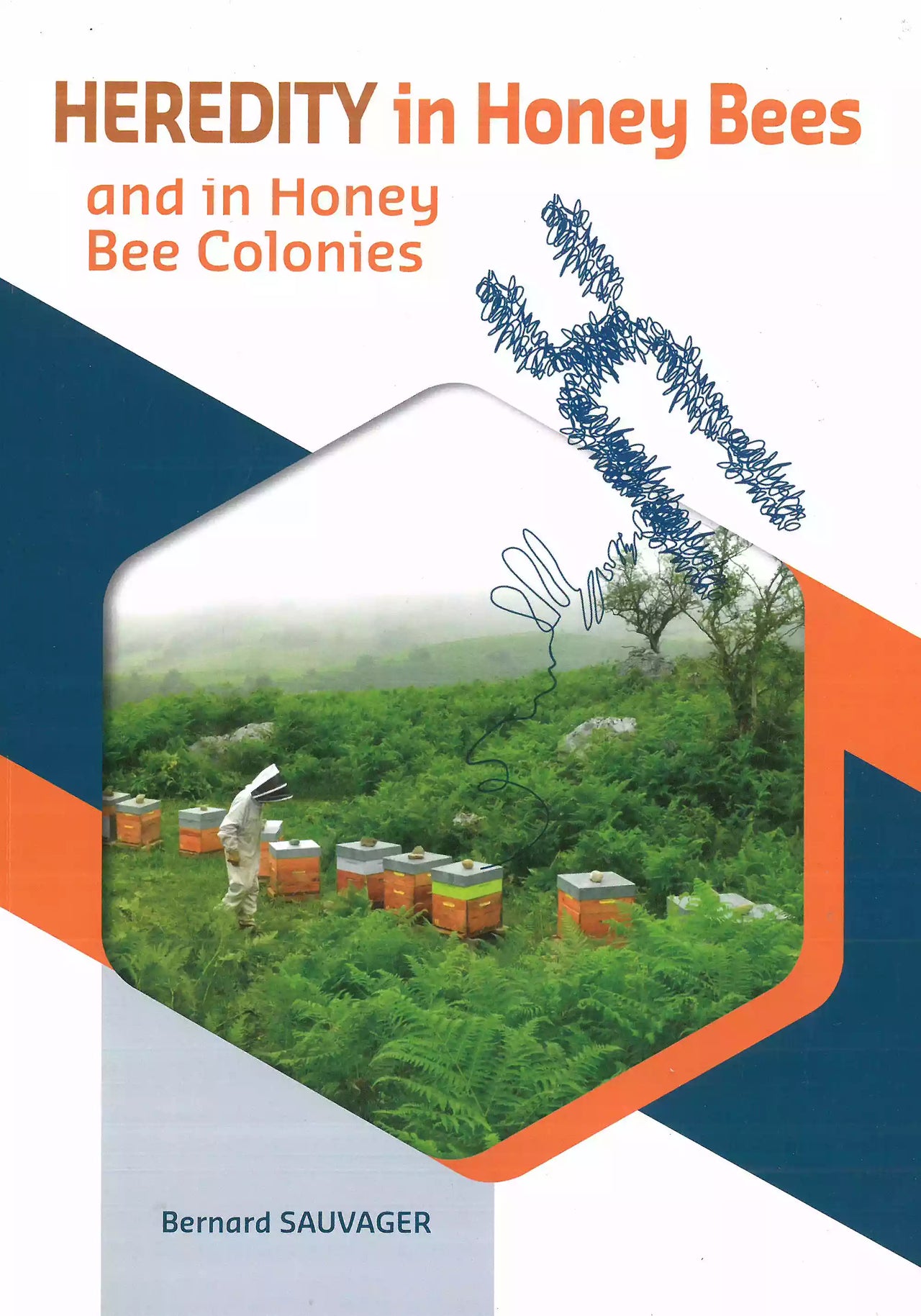 Heredity in Honey Bees by Bernard Sauvager