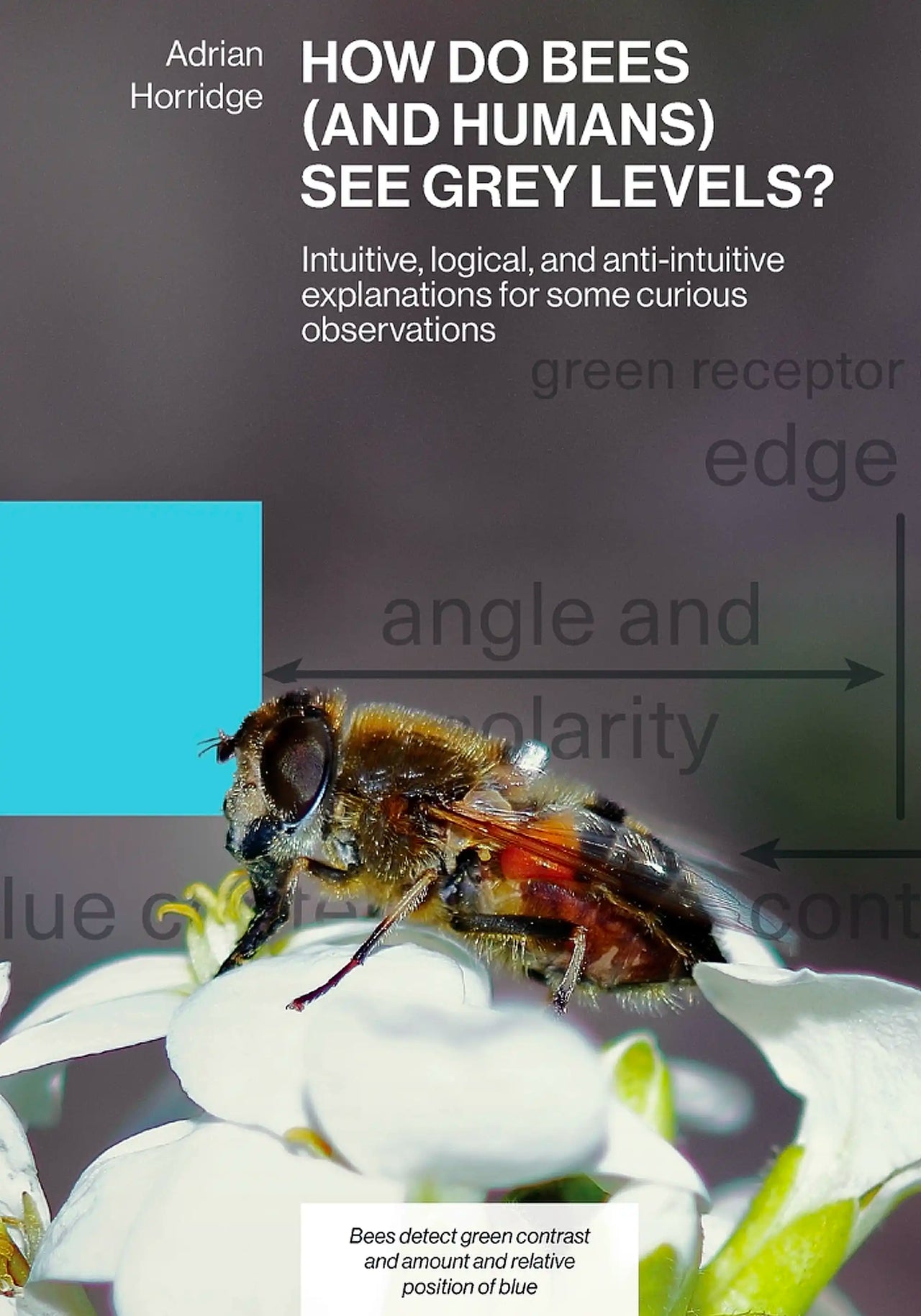 How do Bees (and Humans) see Grey Levels? by Adrian Horridge