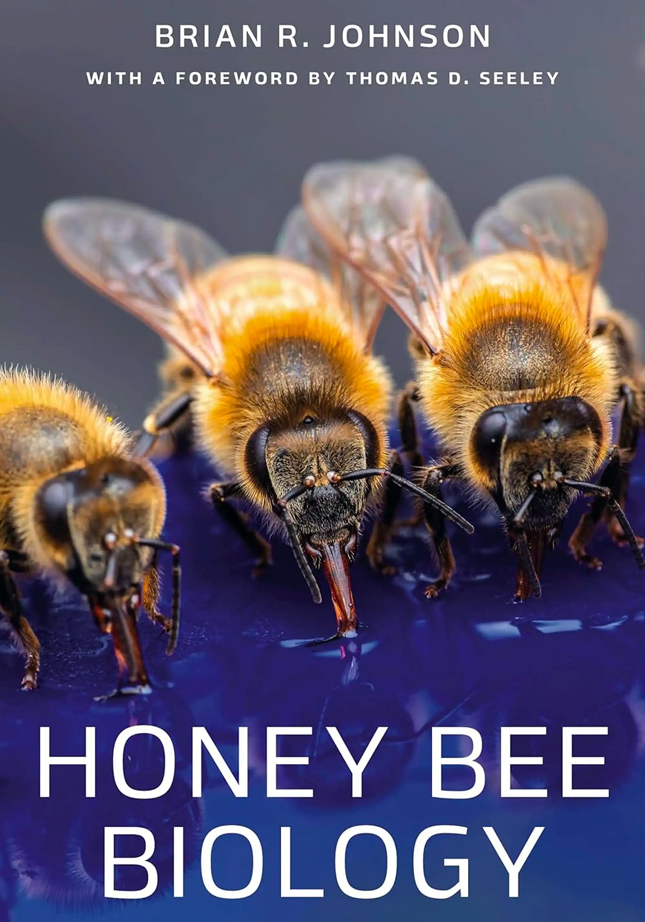 Honey Bee Biology by Brian R. Johnson