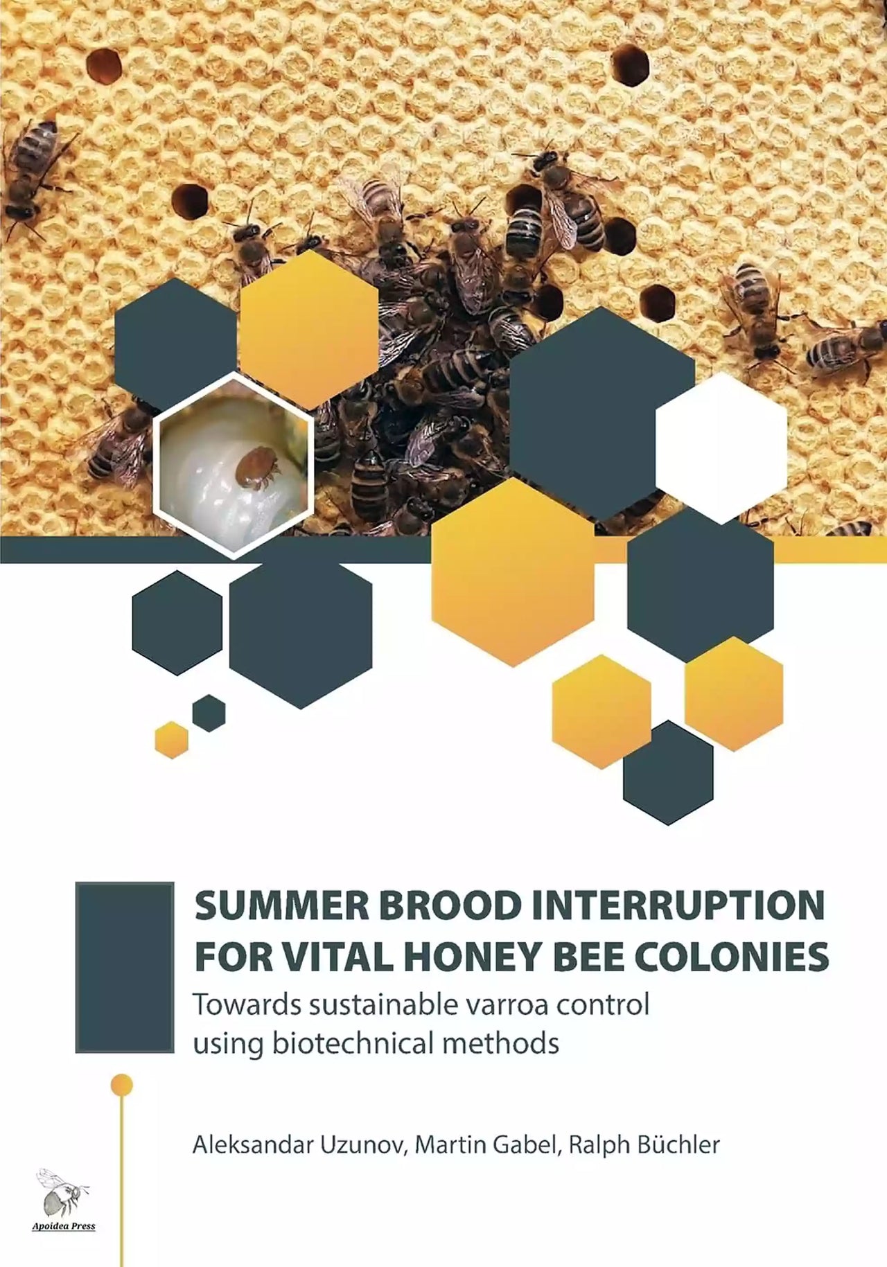 Summer Brood Interruption for Vital Honey Bee Colonies by Aleksander Uzunov, Martin Gabel & Ralph Büchler