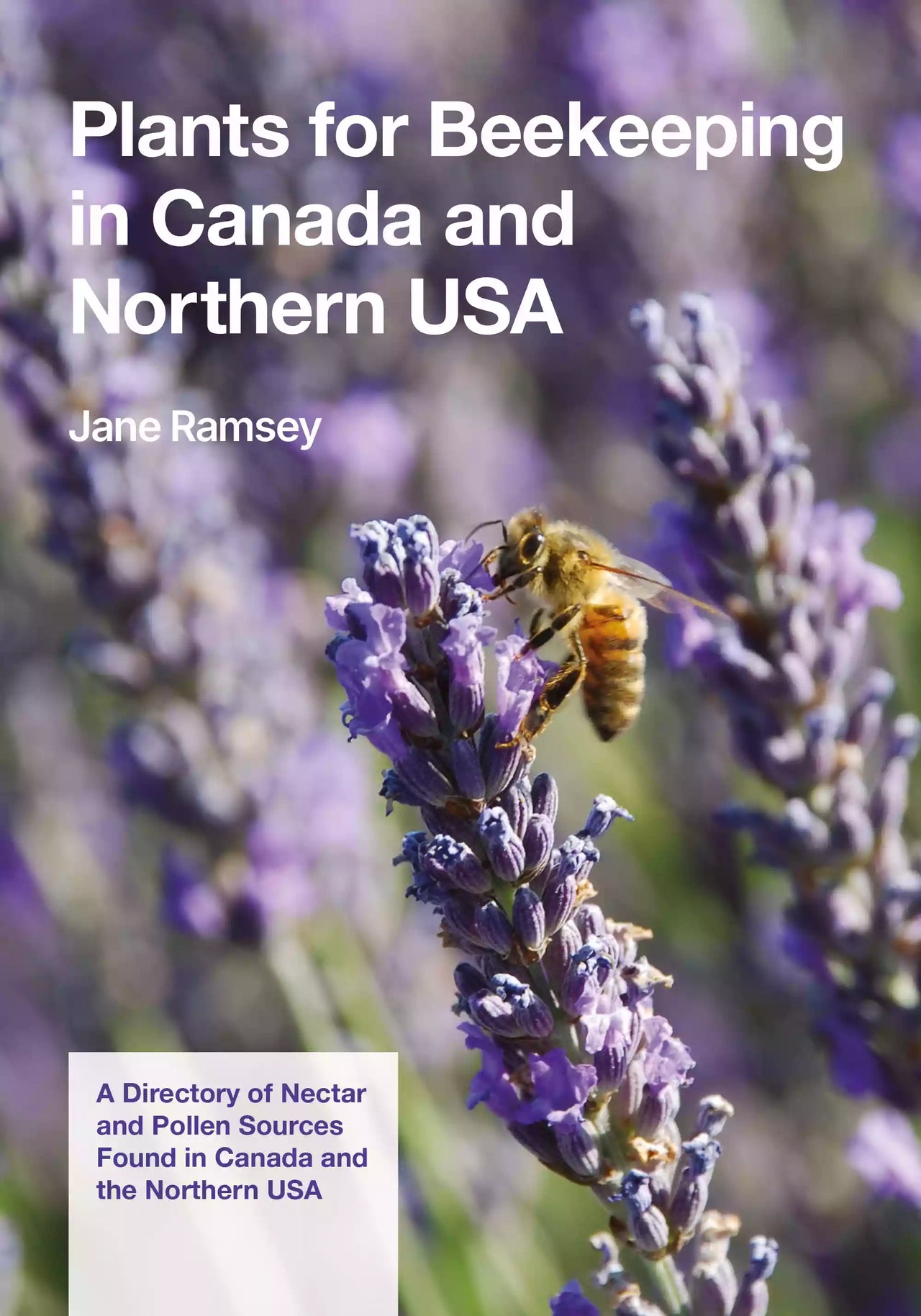 Plants for Beekeeping In Canada and Northern USA by Jane Carver Ramsey