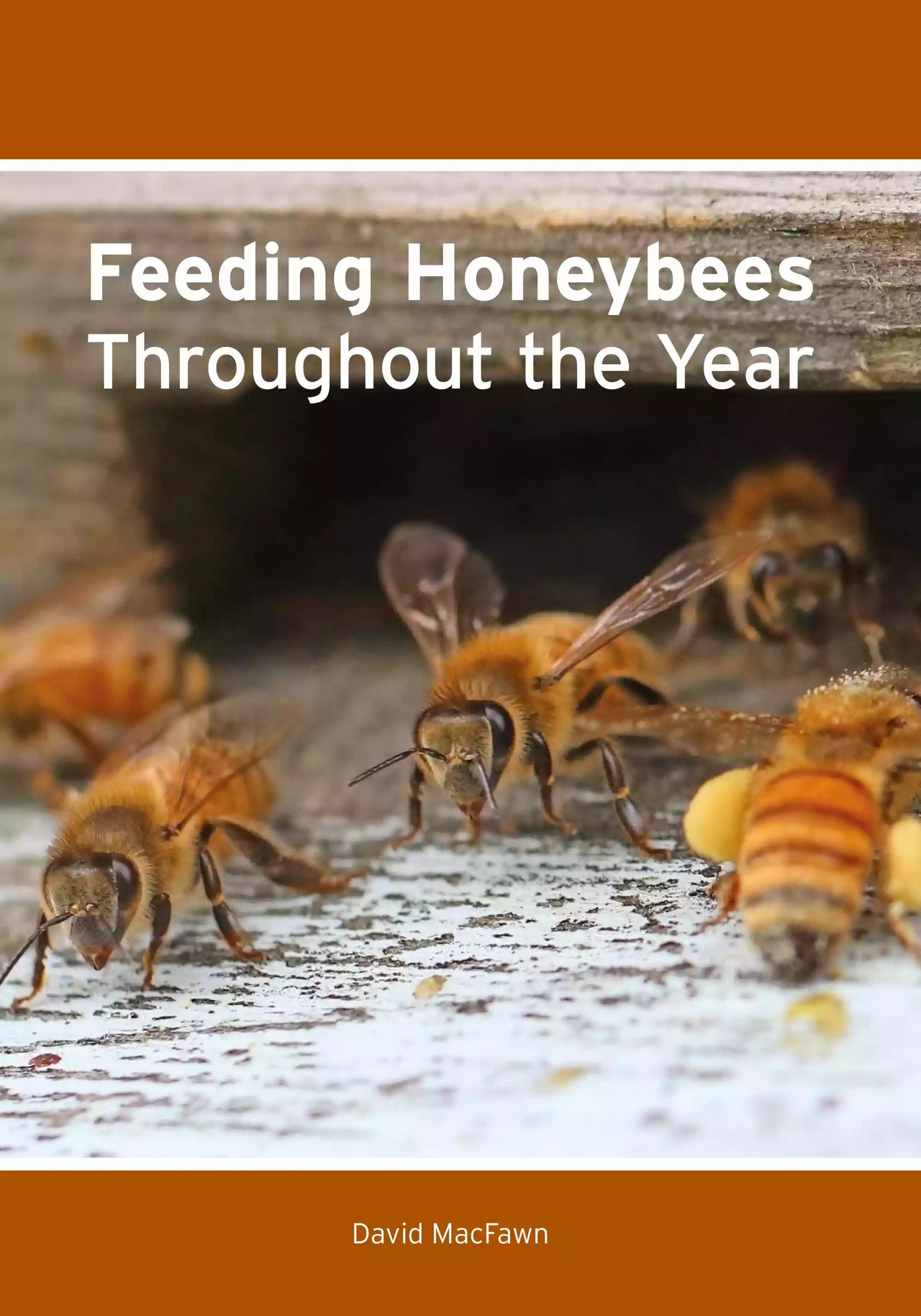Feeding Honeybees Throughout the Year by David MacFawn