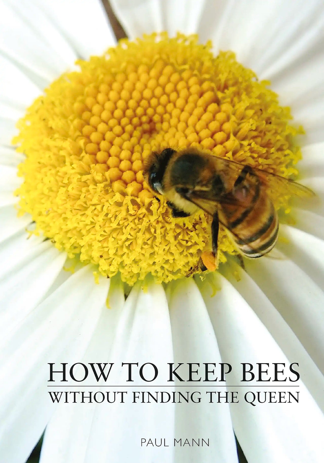 How to Keep Bees Without Finding the Queen by Paul Mann