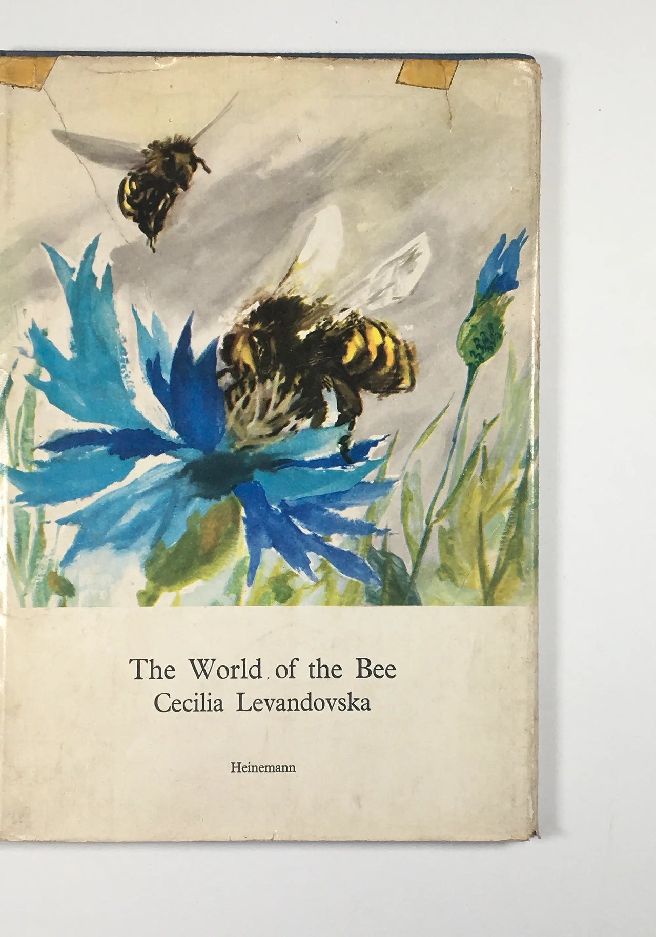 The World of the Bee by Cecilia Levandovska front cover