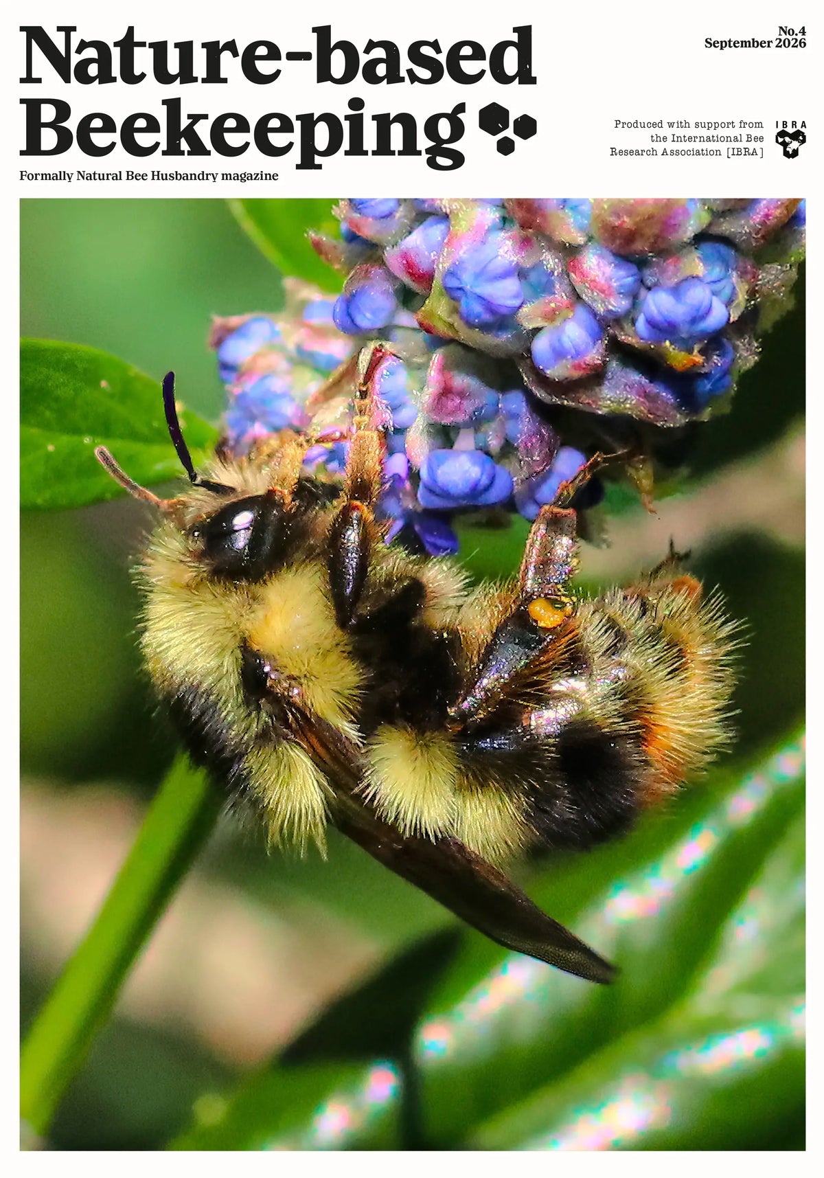 Nature-based Beekeeping