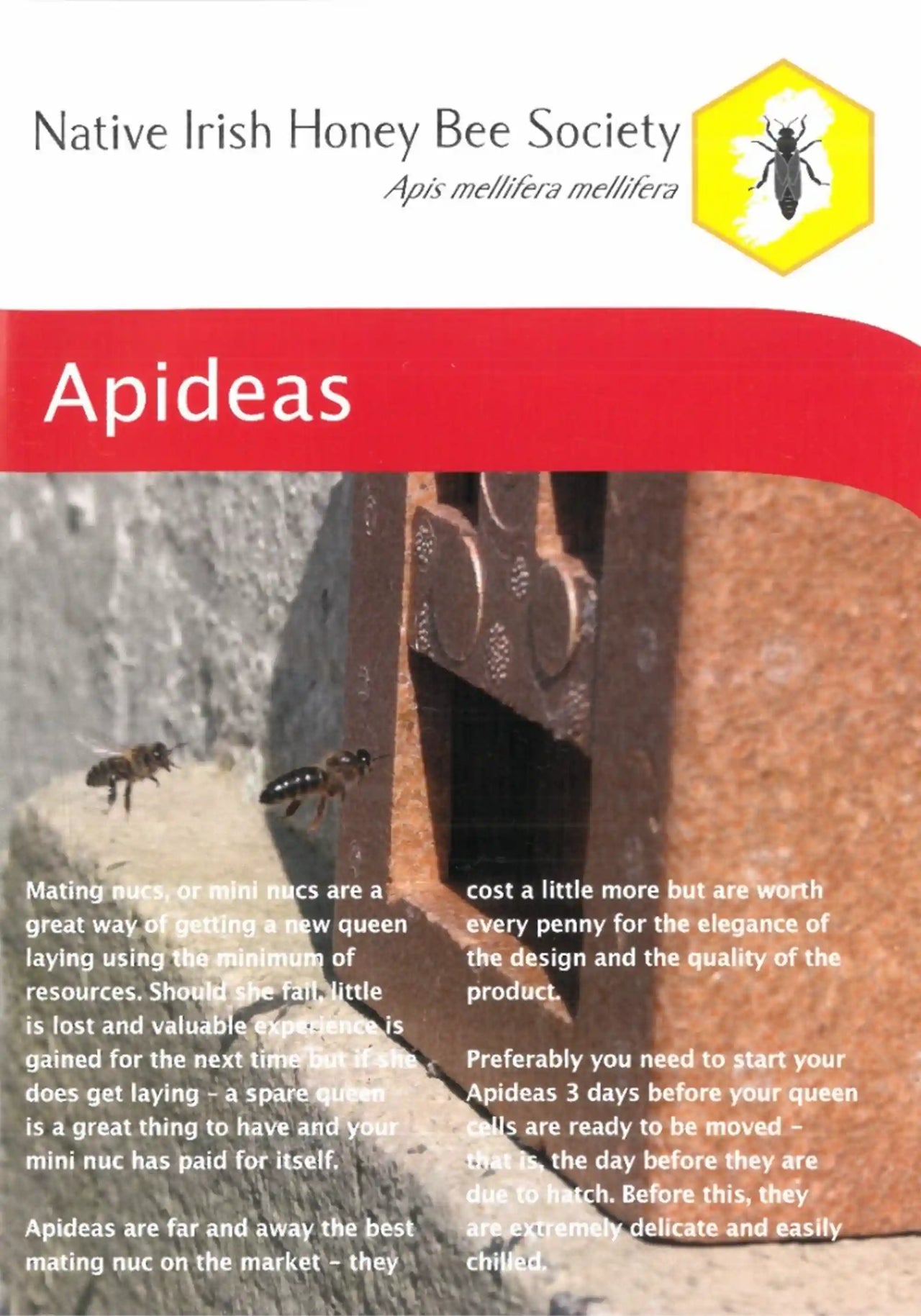 Native Irish Honey Bee Society - Apideas