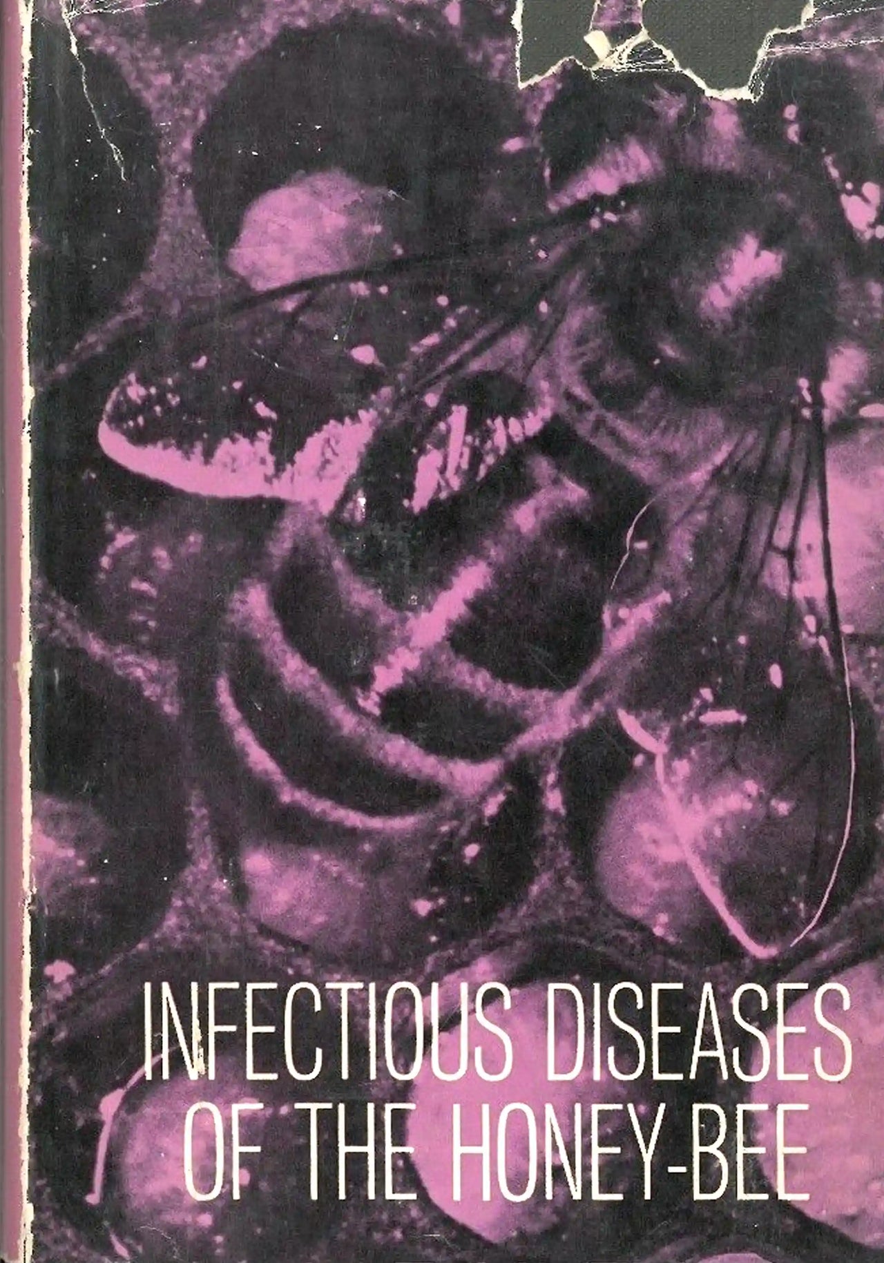 Infectious Diseases of the Honey-bee by Leslie Bailey