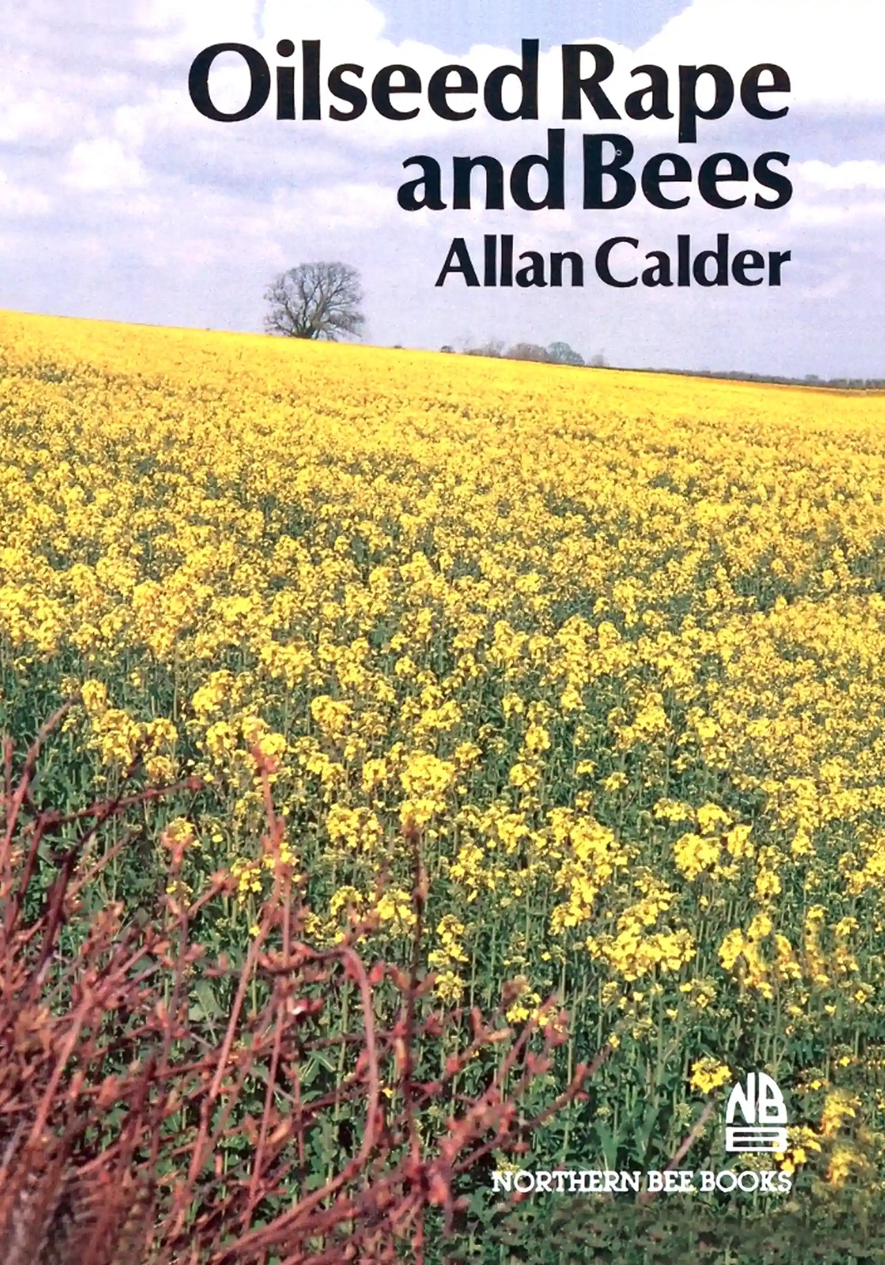 Oilseed Rape and Bees by Allan Calder