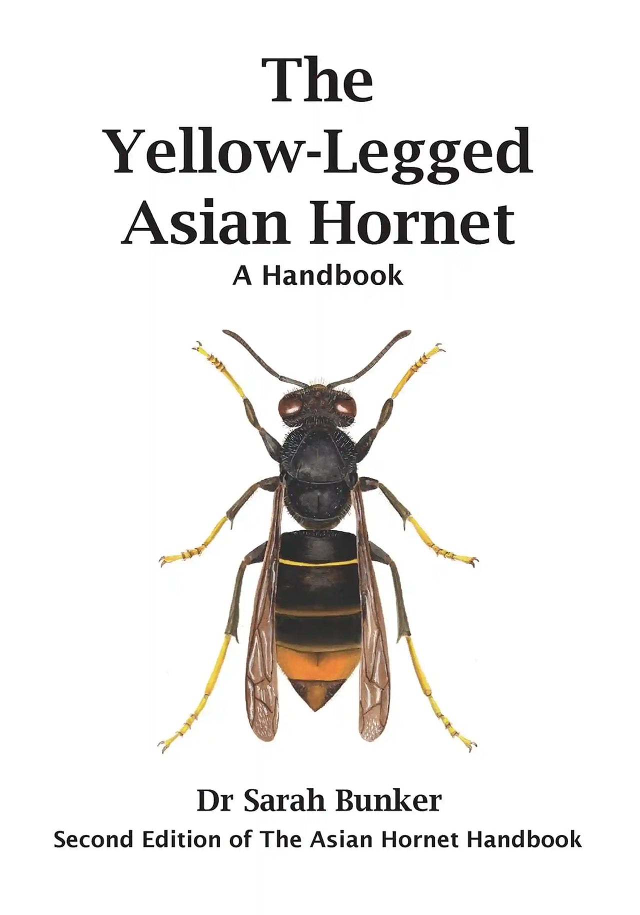 The Yellow-Legged Asian Hornet by Sarah Bunker