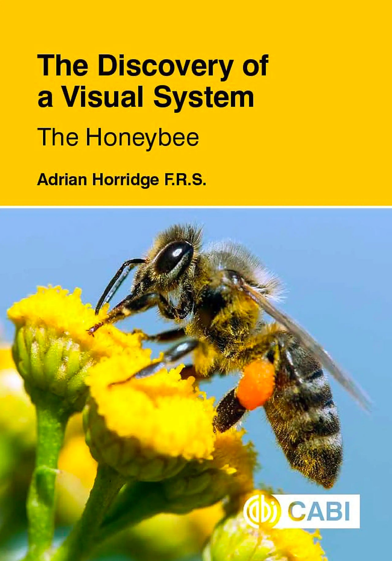 The Discovery of a Visual System by Adrian Horridge