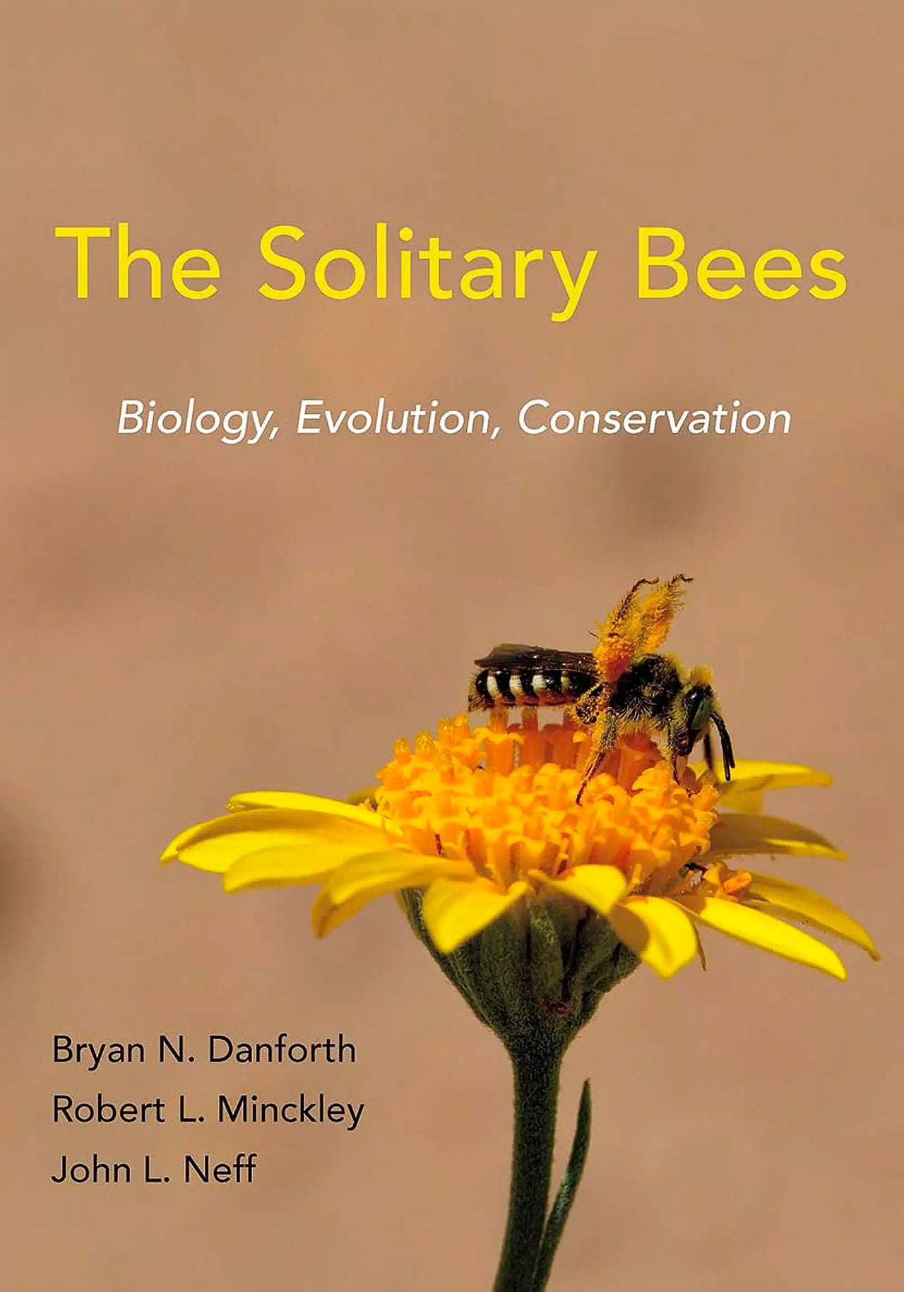 The Solitary Bees by Bryan N. Danforth (Et al.)