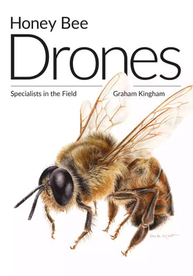 Honey Bee Drones by Graham Kingham
