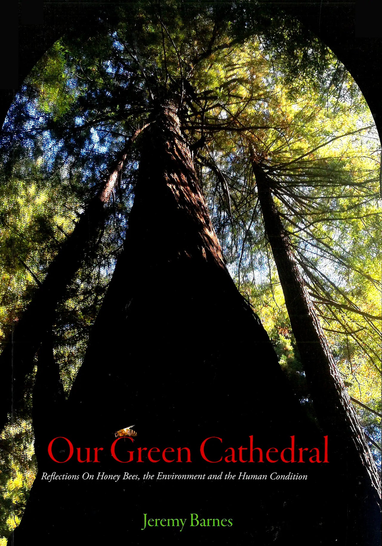 Our Green Cathedral by Jeremy Barnes