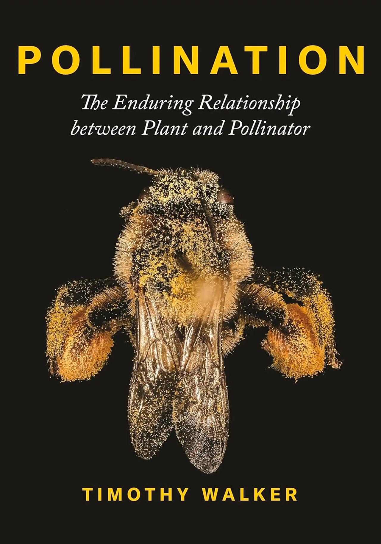 Pollination by Timothy Walker