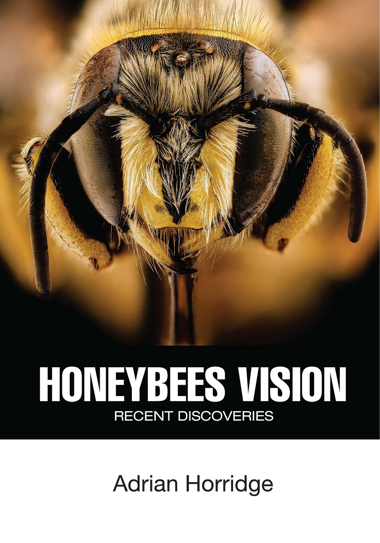 Honeybees Vision by Adrian Horridge